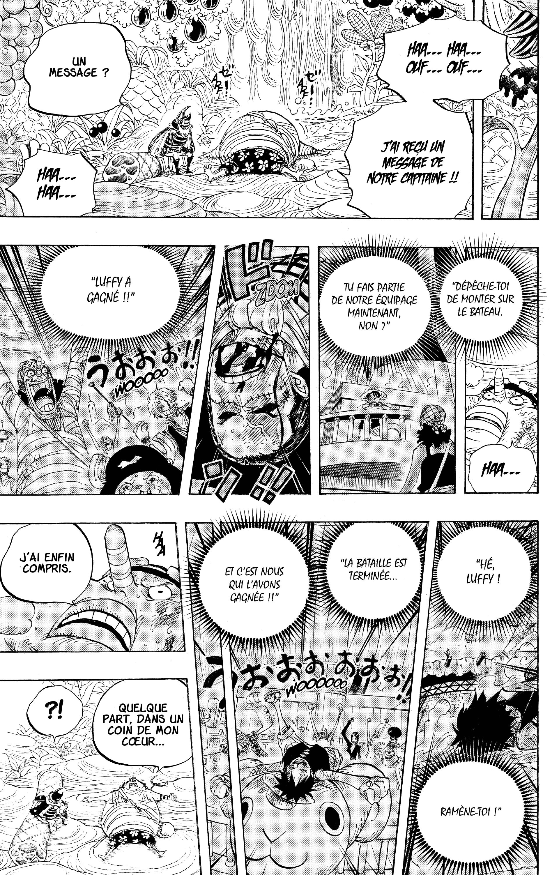 One Piece Chapitre 596 - Page 17