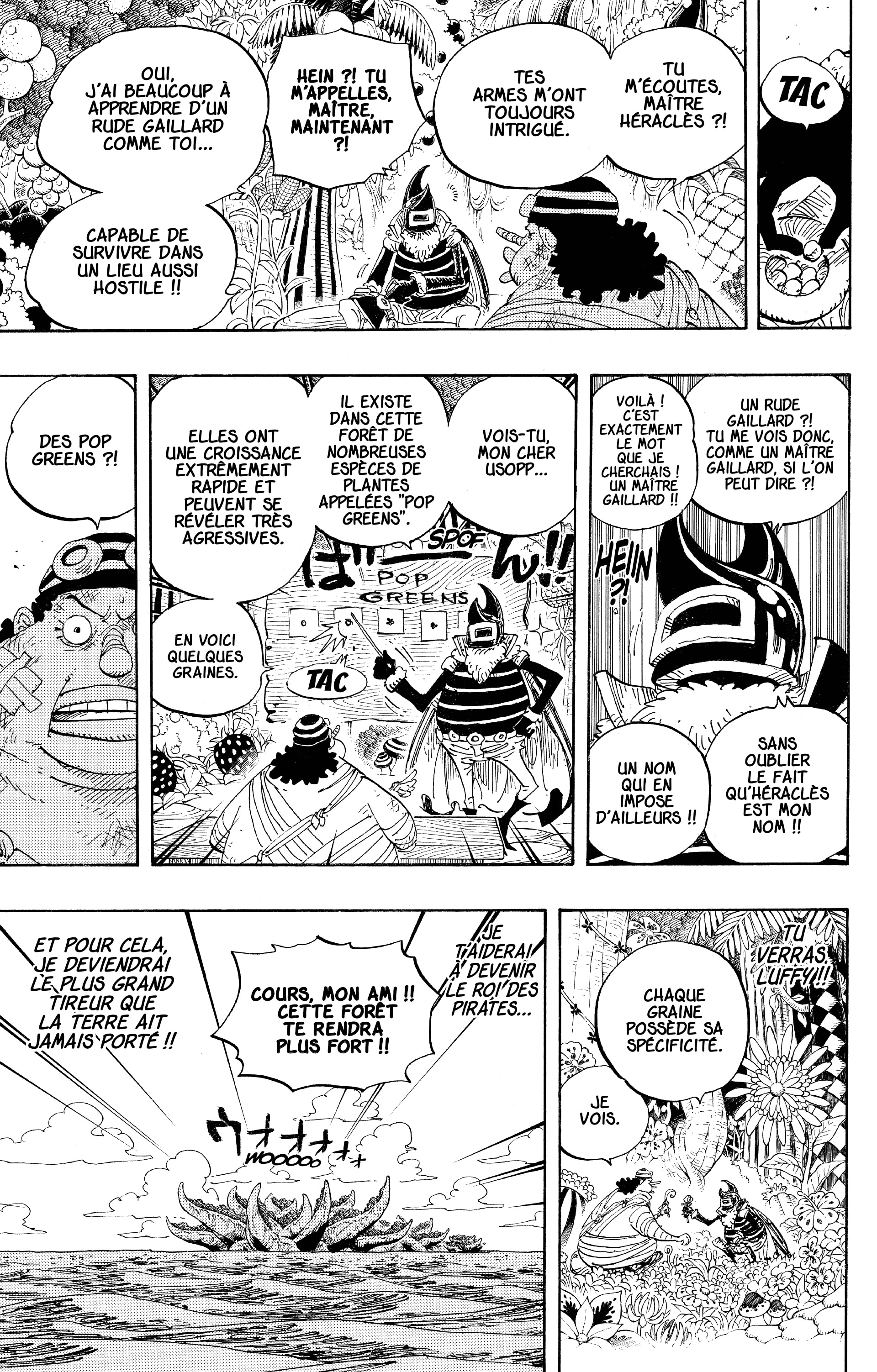 One Piece Chapitre 596 - Page 19