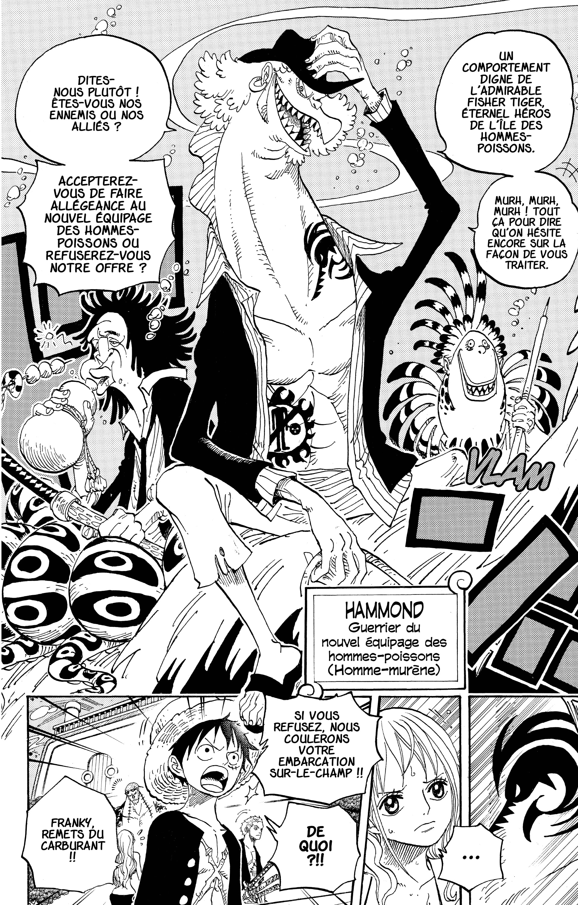 One Piece Chapitre 607 - Page 13