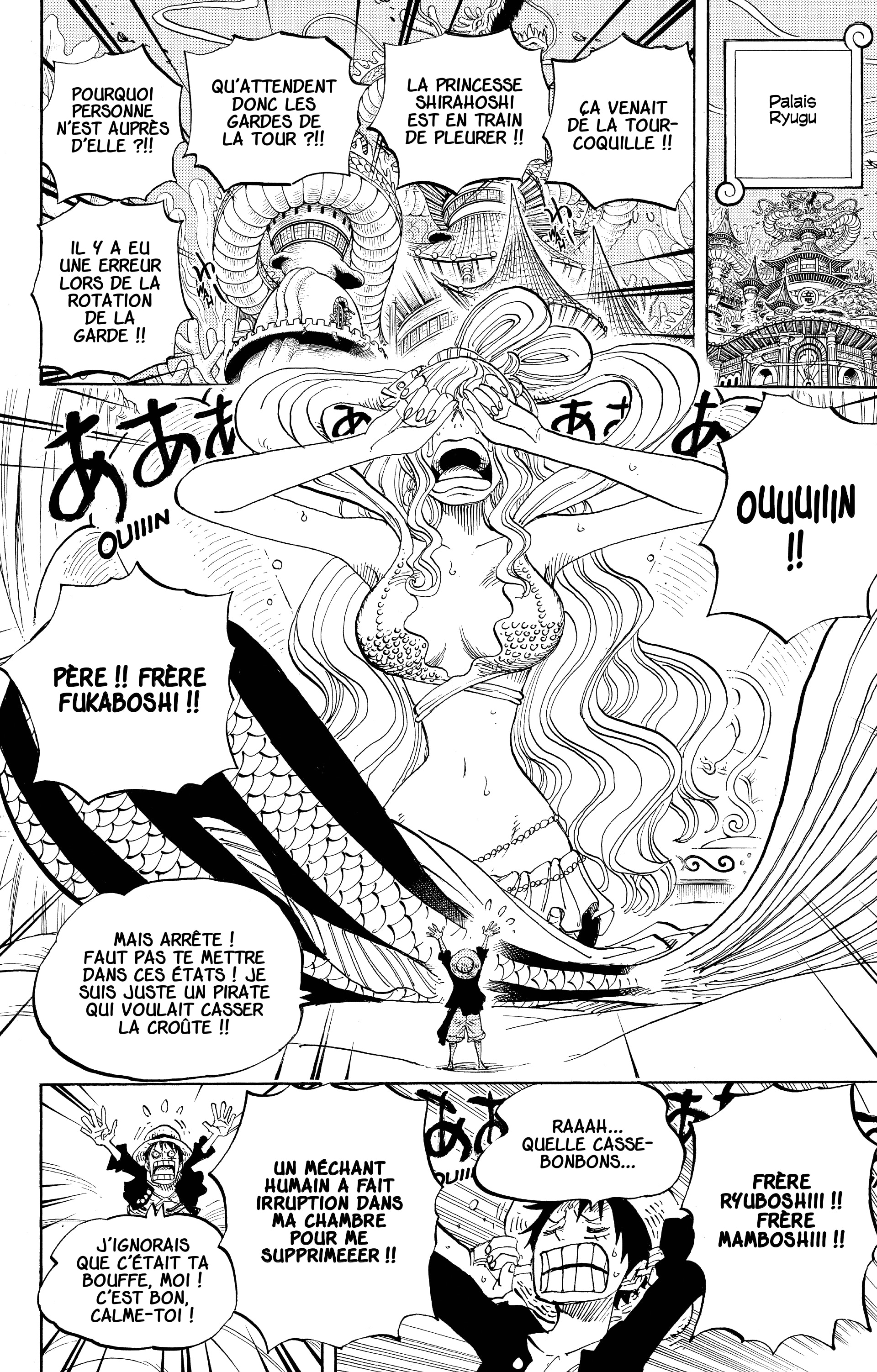 One Piece Chapitre 613 - Page 4
