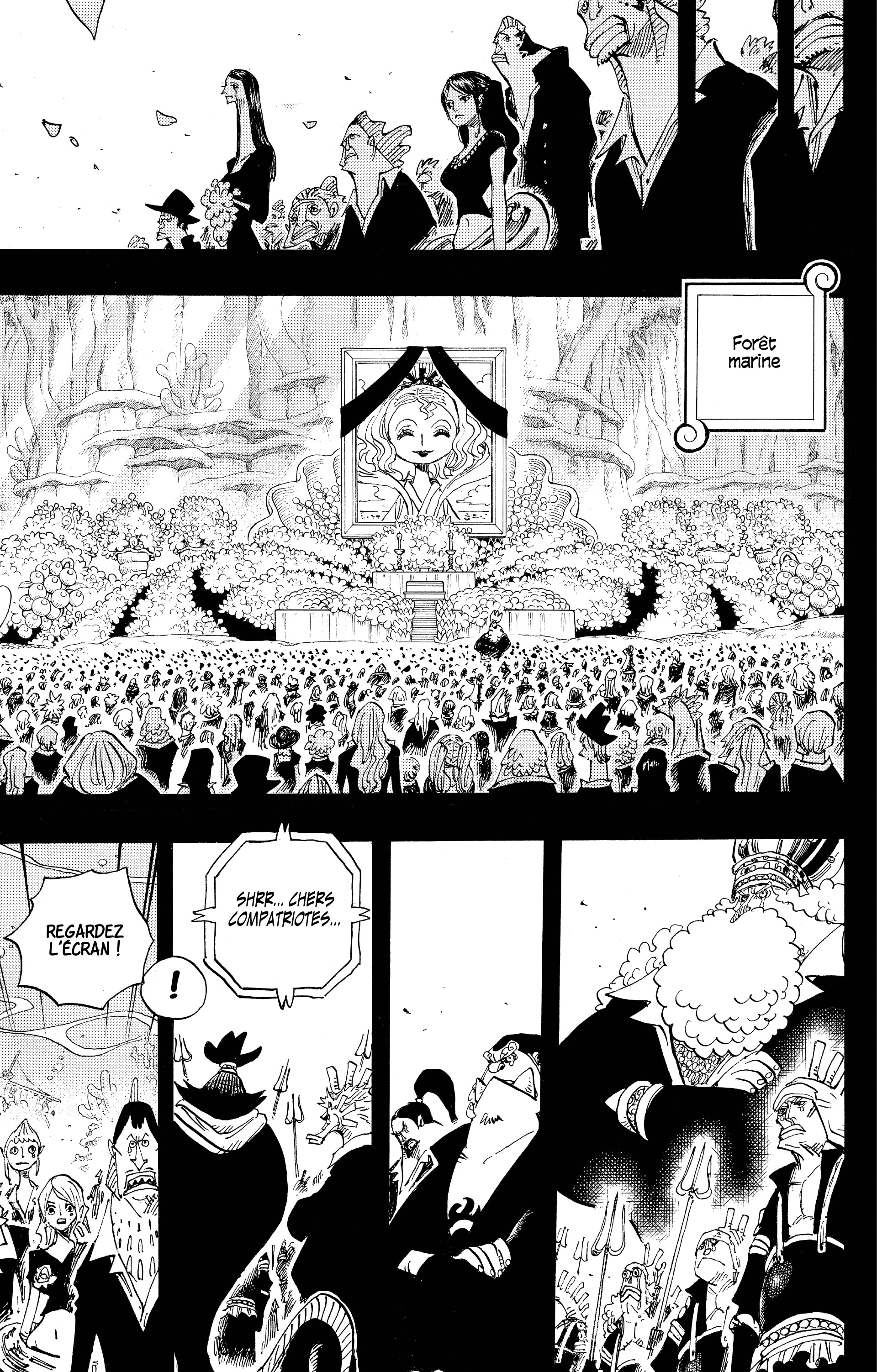 One Piece Chapitre 627 - Page 13
