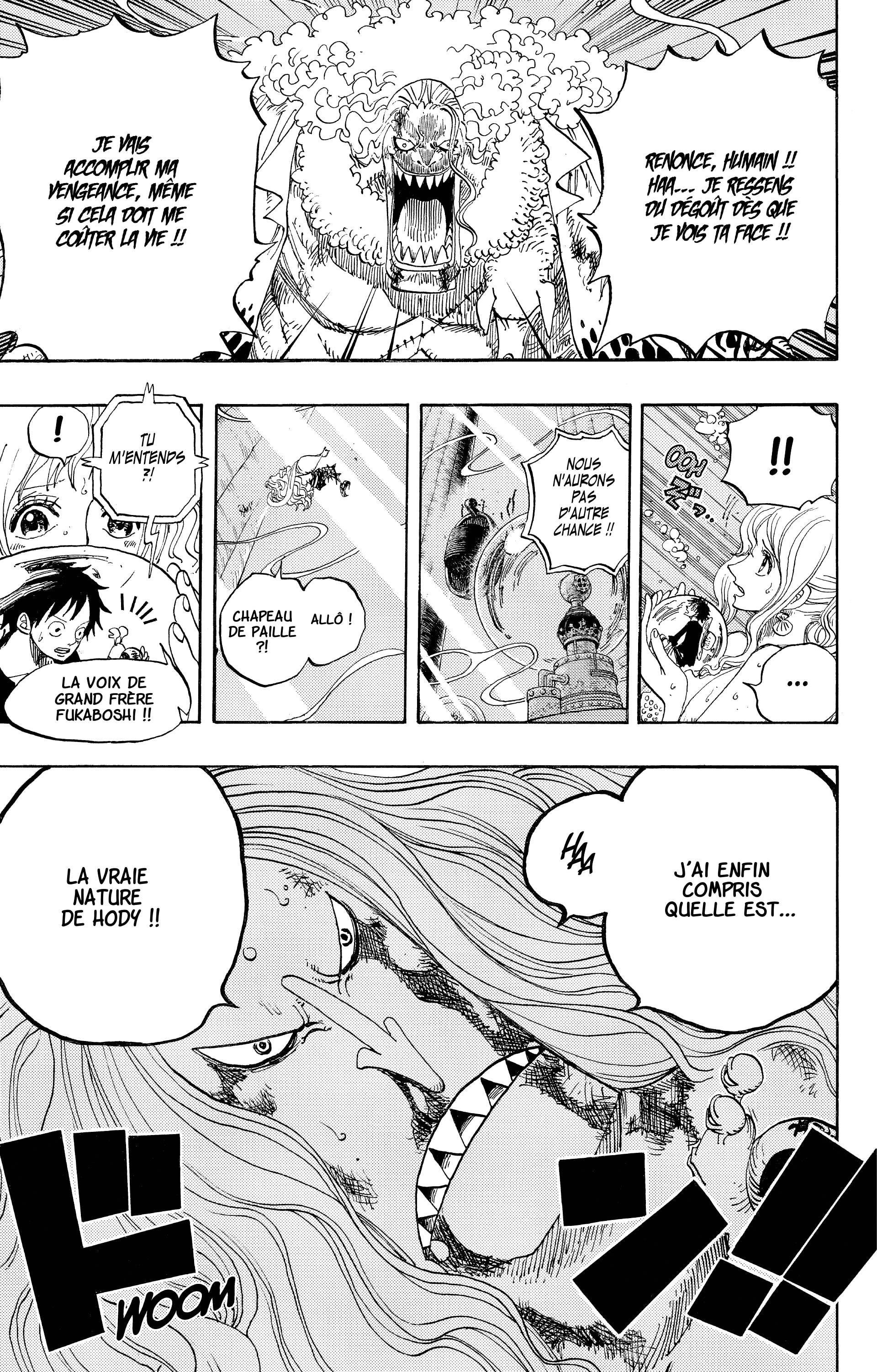 One Piece Chapitre 641 - Page 19