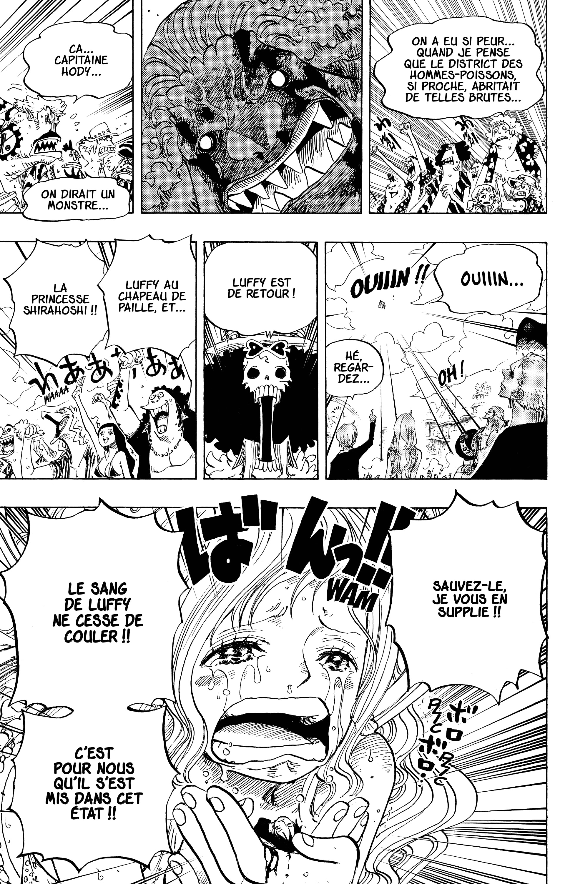 One Piece Chapitre 648 - Page 12