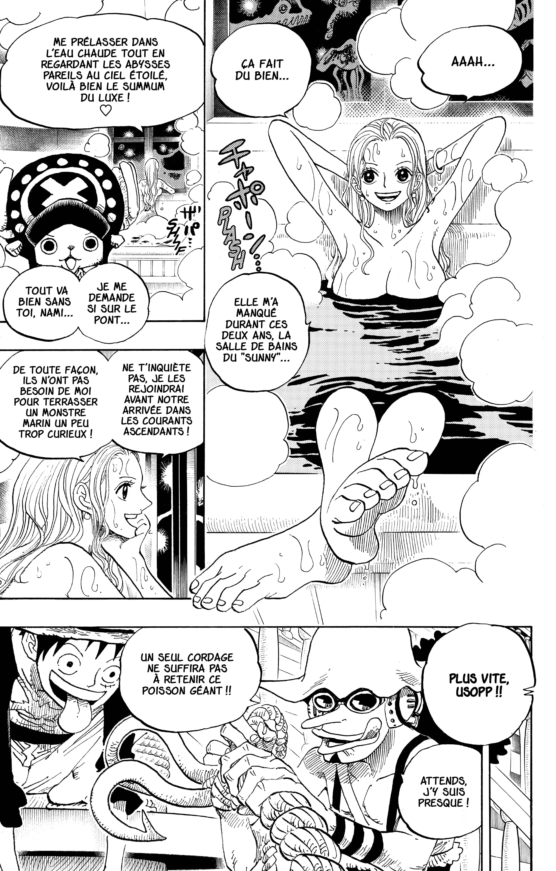 One Piece Chapitre 654 - Page 3