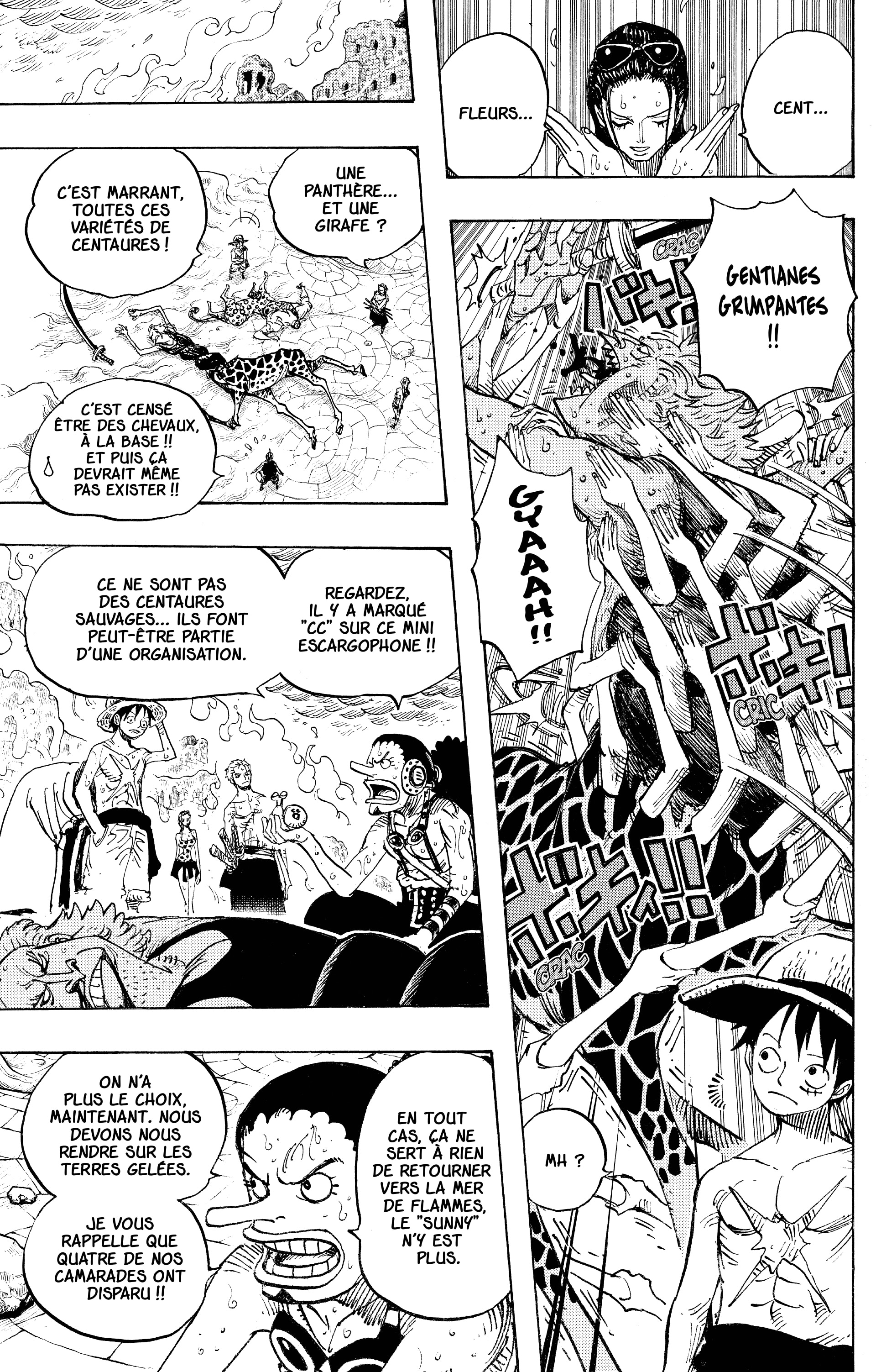 One Piece Chapitre 658 - Page 17
