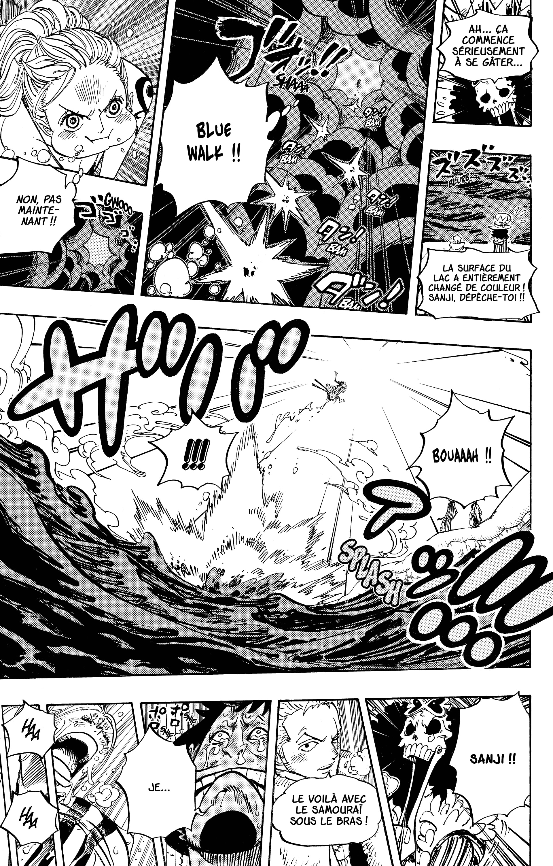 One Piece Chapitre 672 - Page 13