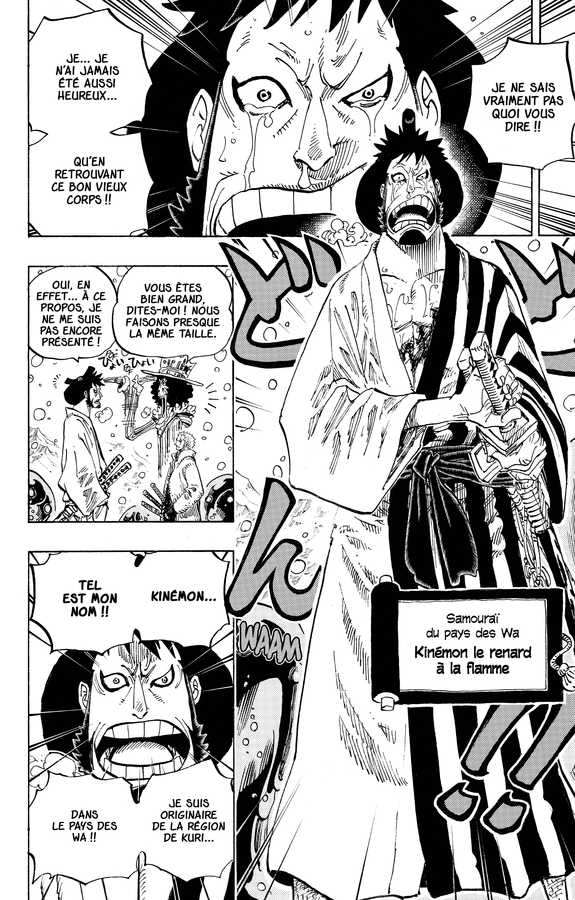 One Piece Chapitre 672 - Page 14