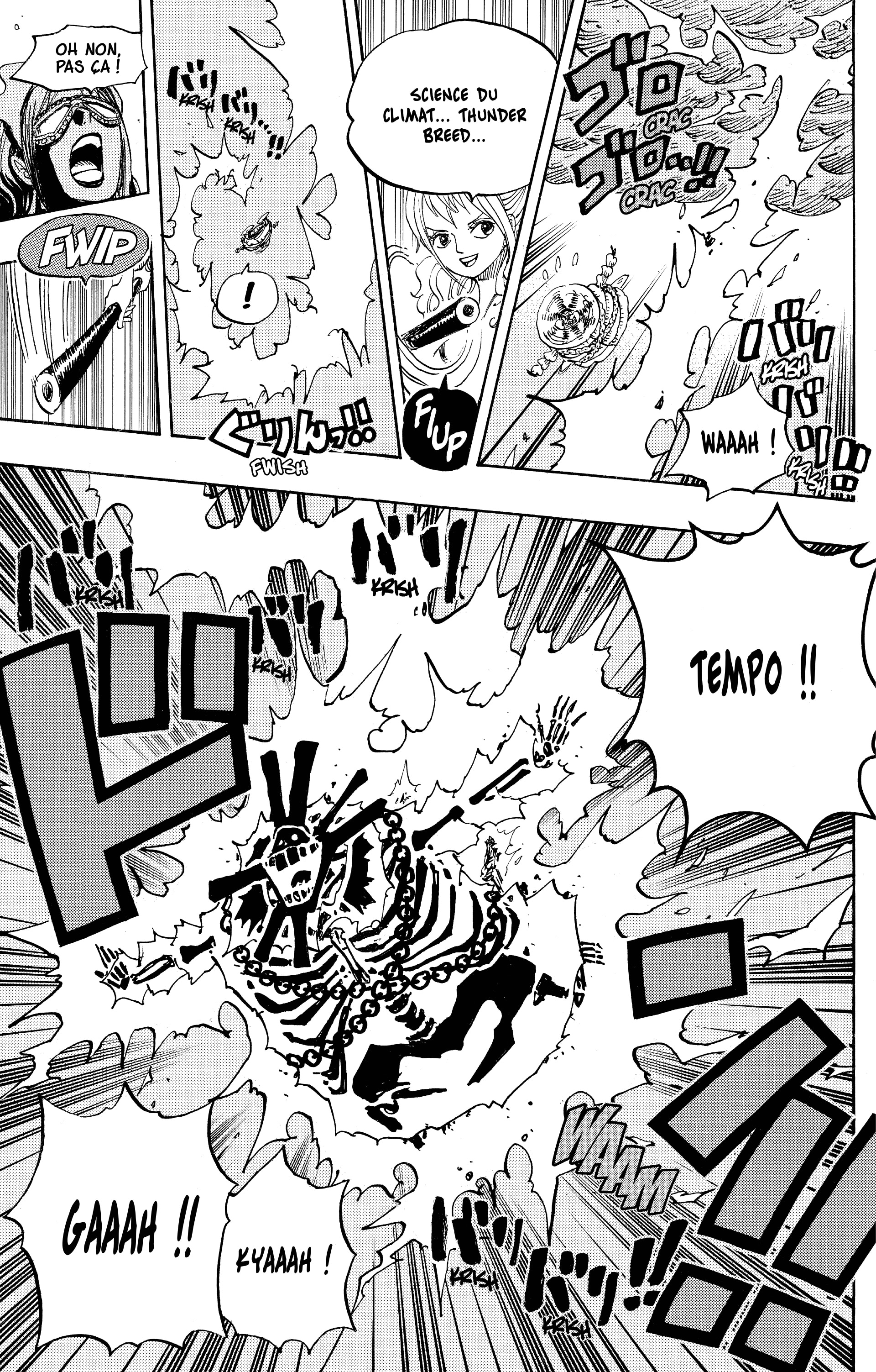 One Piece Chapitre 695 - Page 13