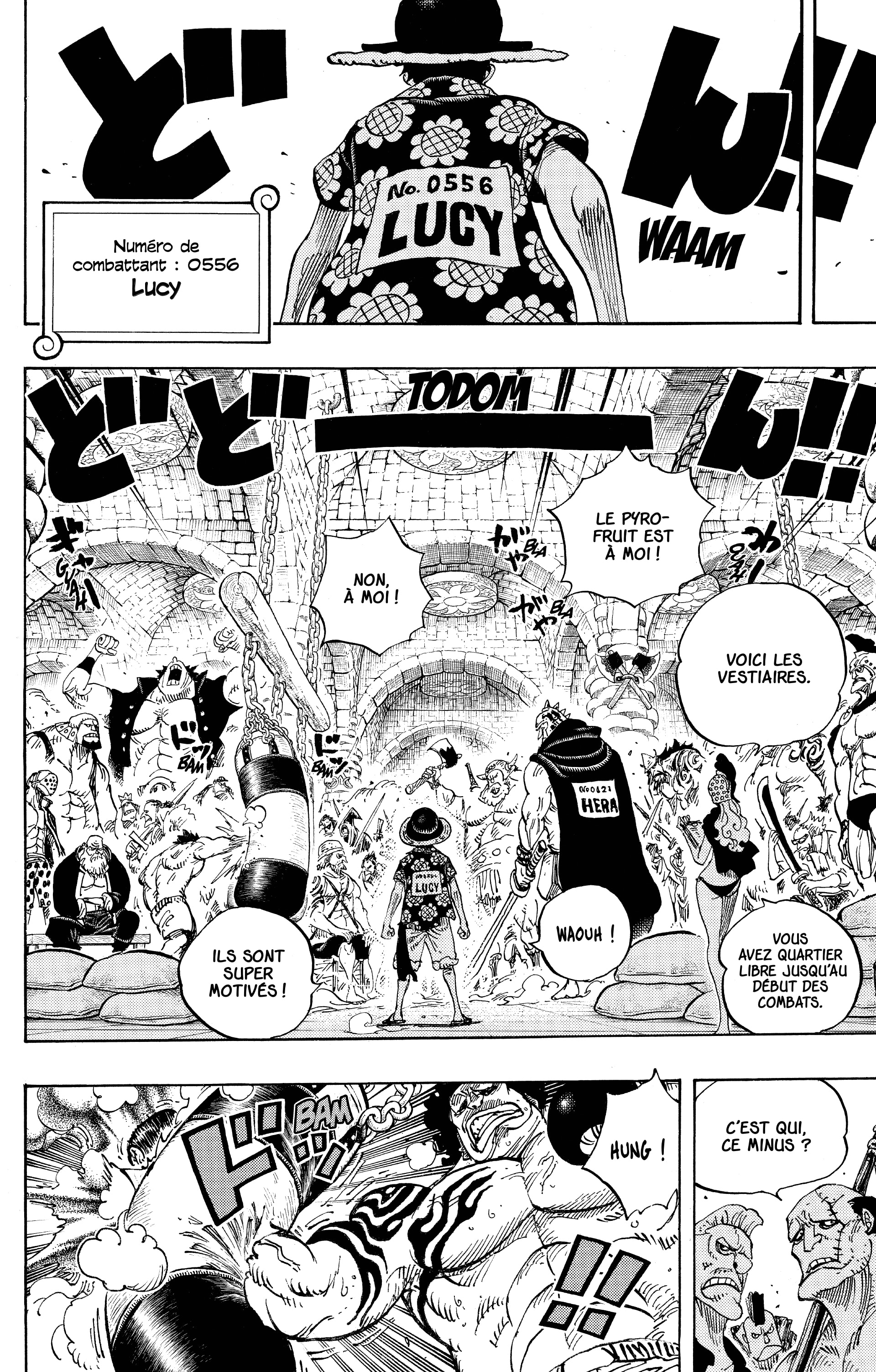 One Piece Chapitre 703 - Page 15
