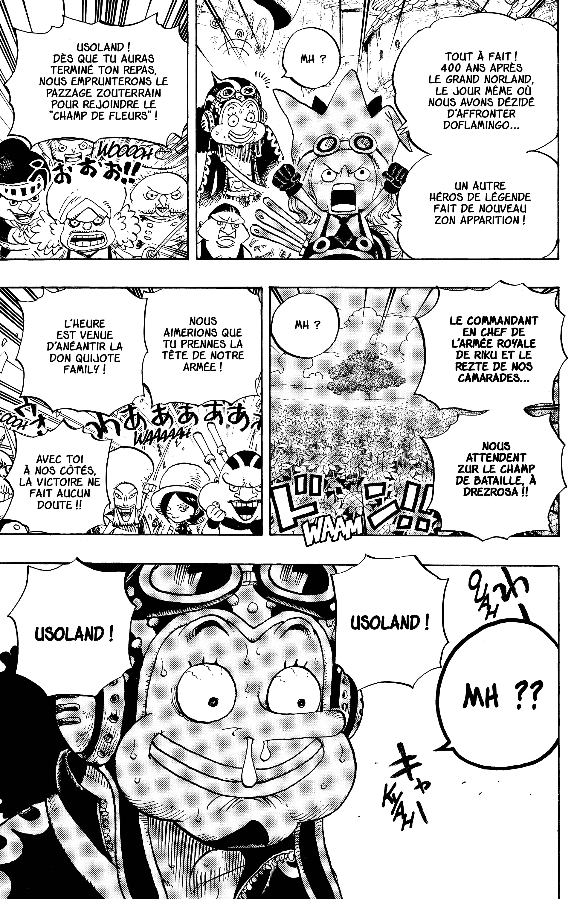 One Piece Chapitre 713 - Page 18