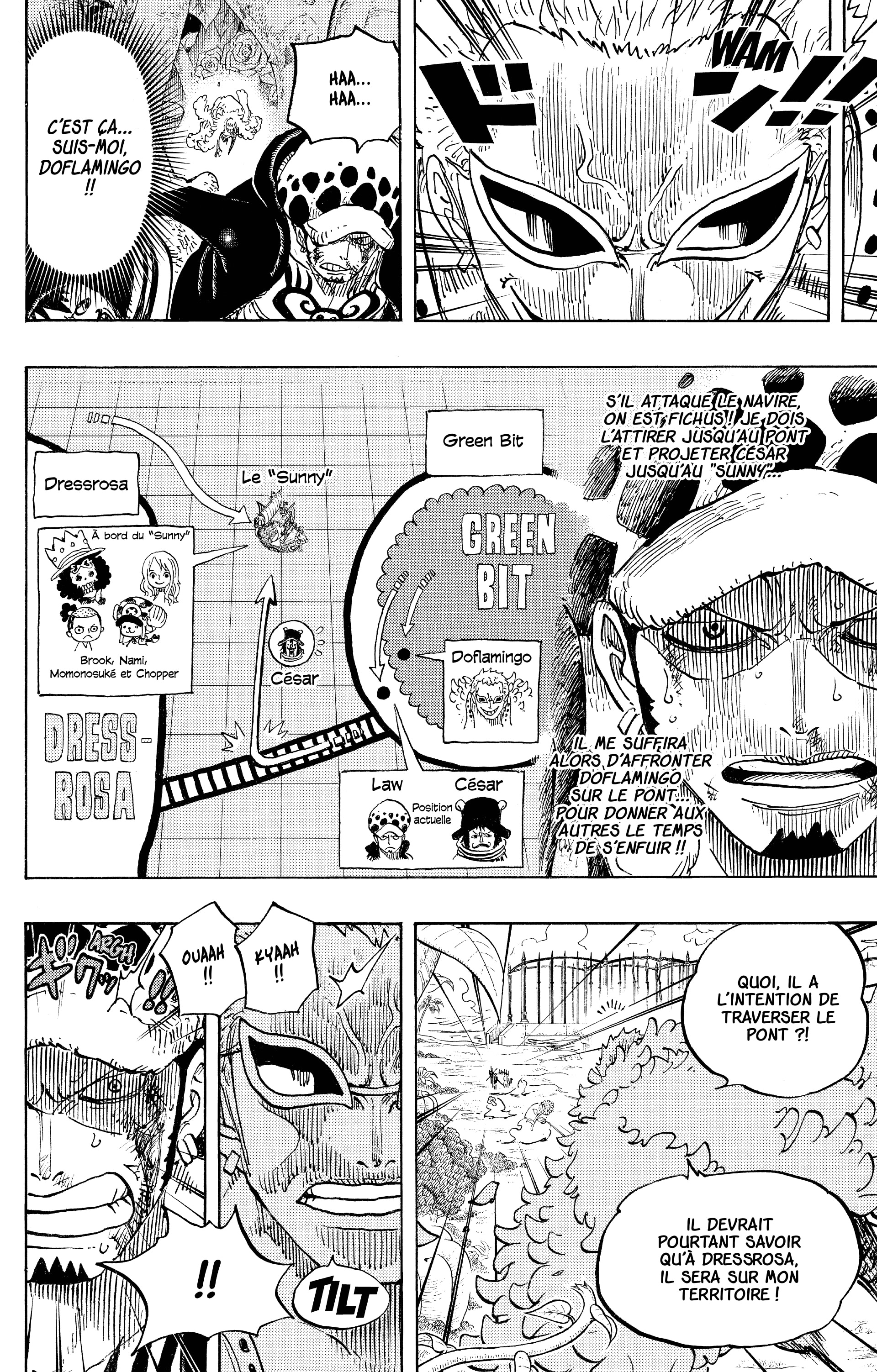 One Piece Chapitre 723 - Page 16