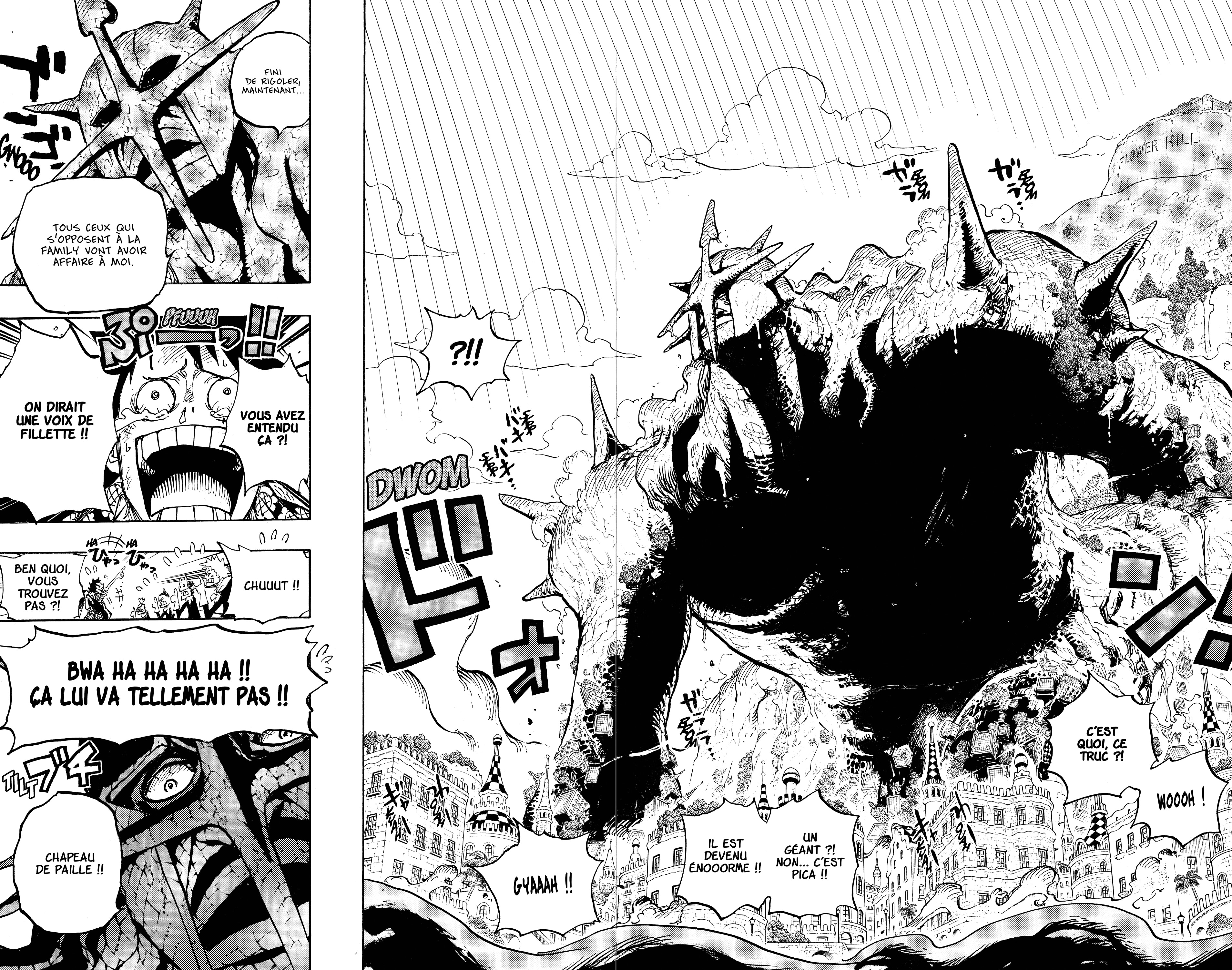 One Piece Chapitre 747 - Page 17