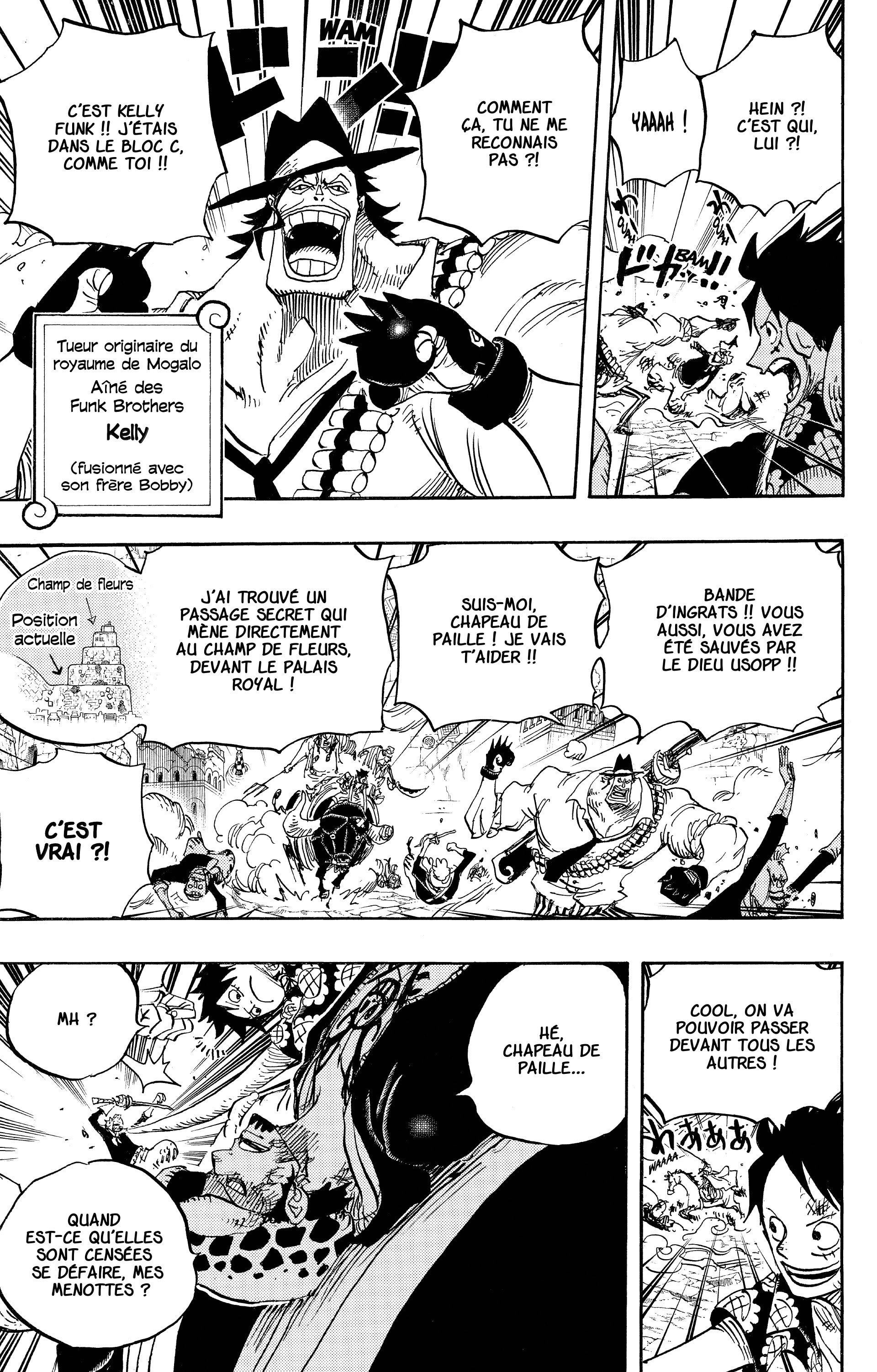 One Piece Chapitre 751 - Page 11
