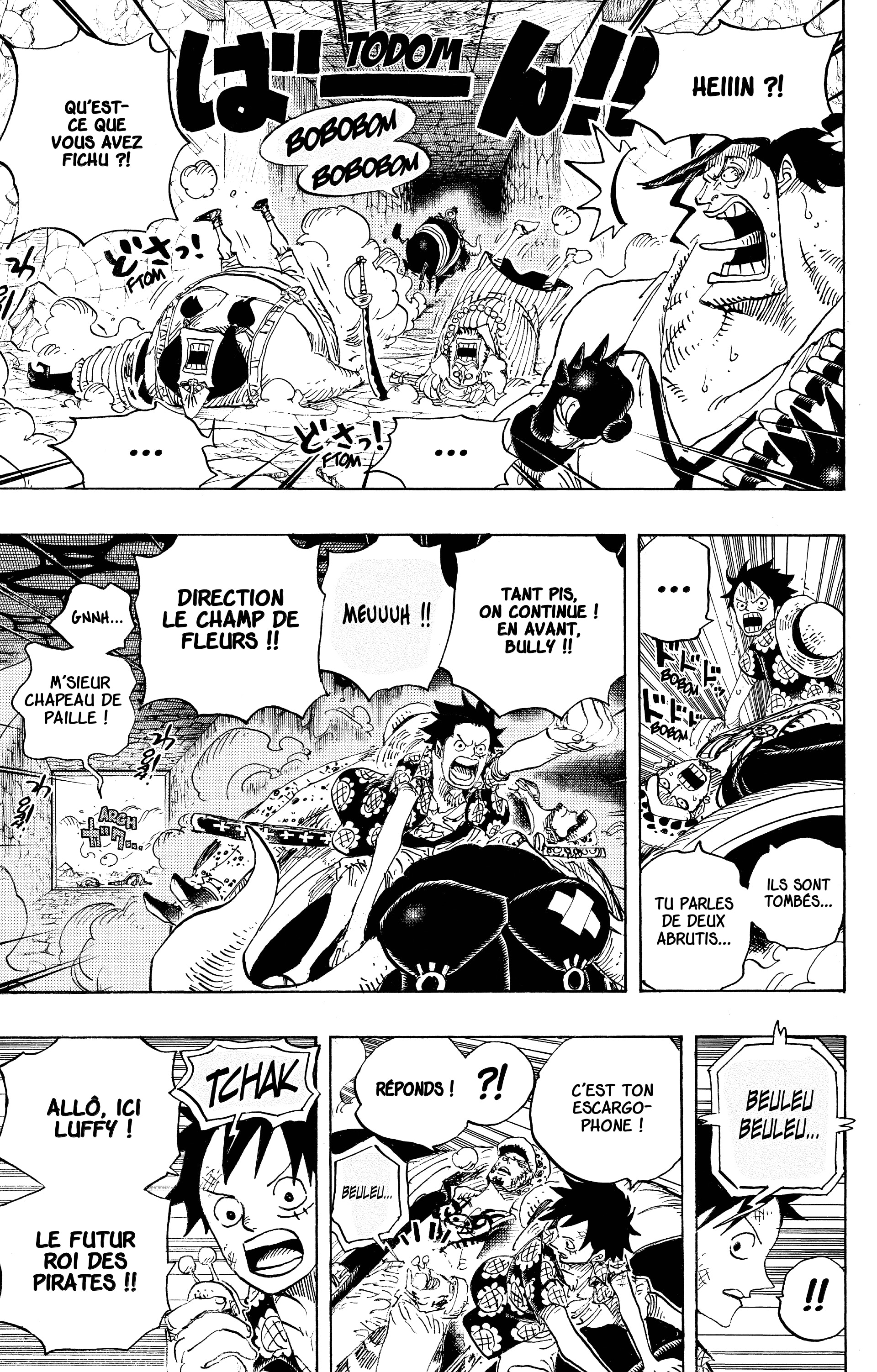 One Piece Chapitre 751 - Page 13