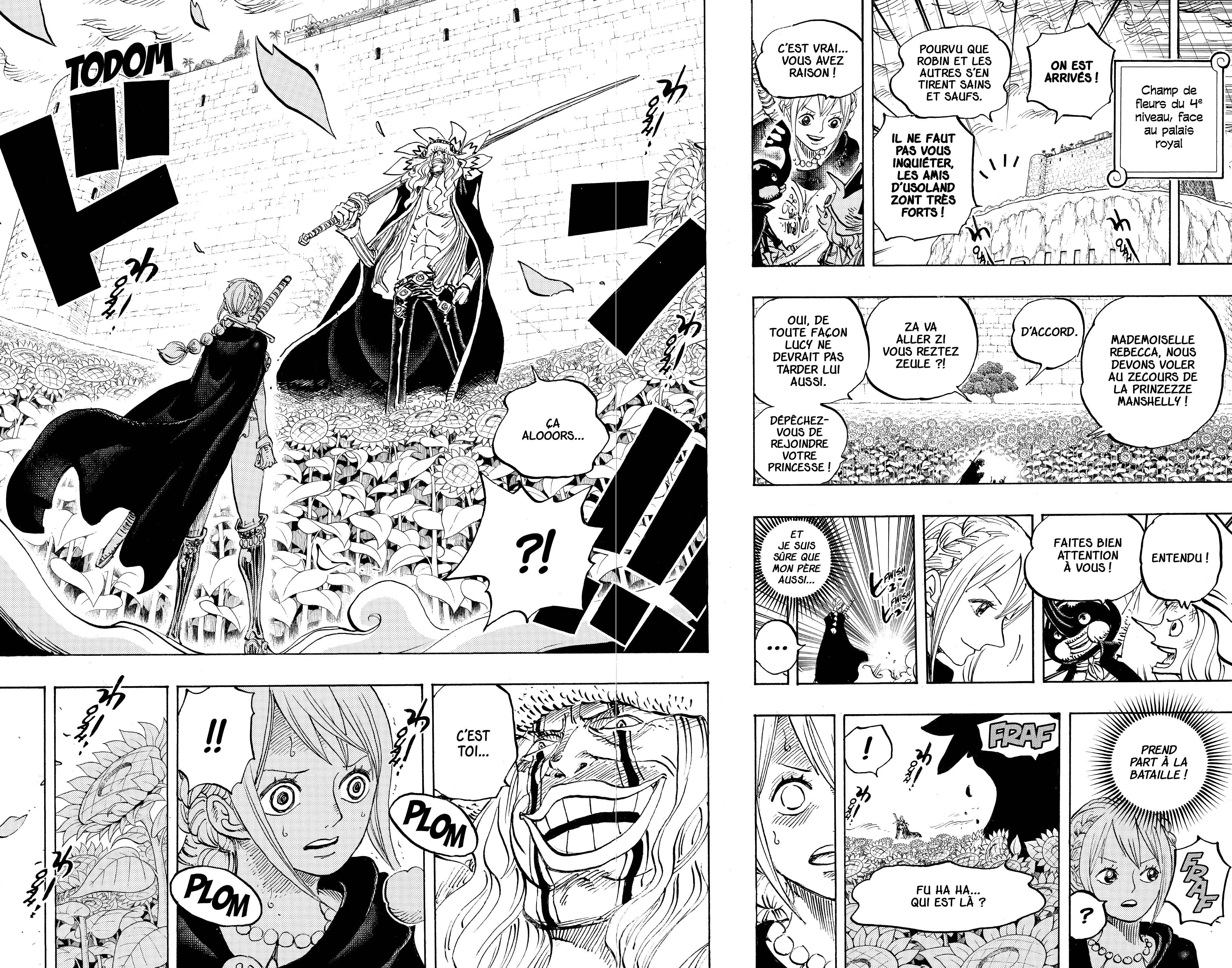 One Piece Chapitre 756 - Page 17