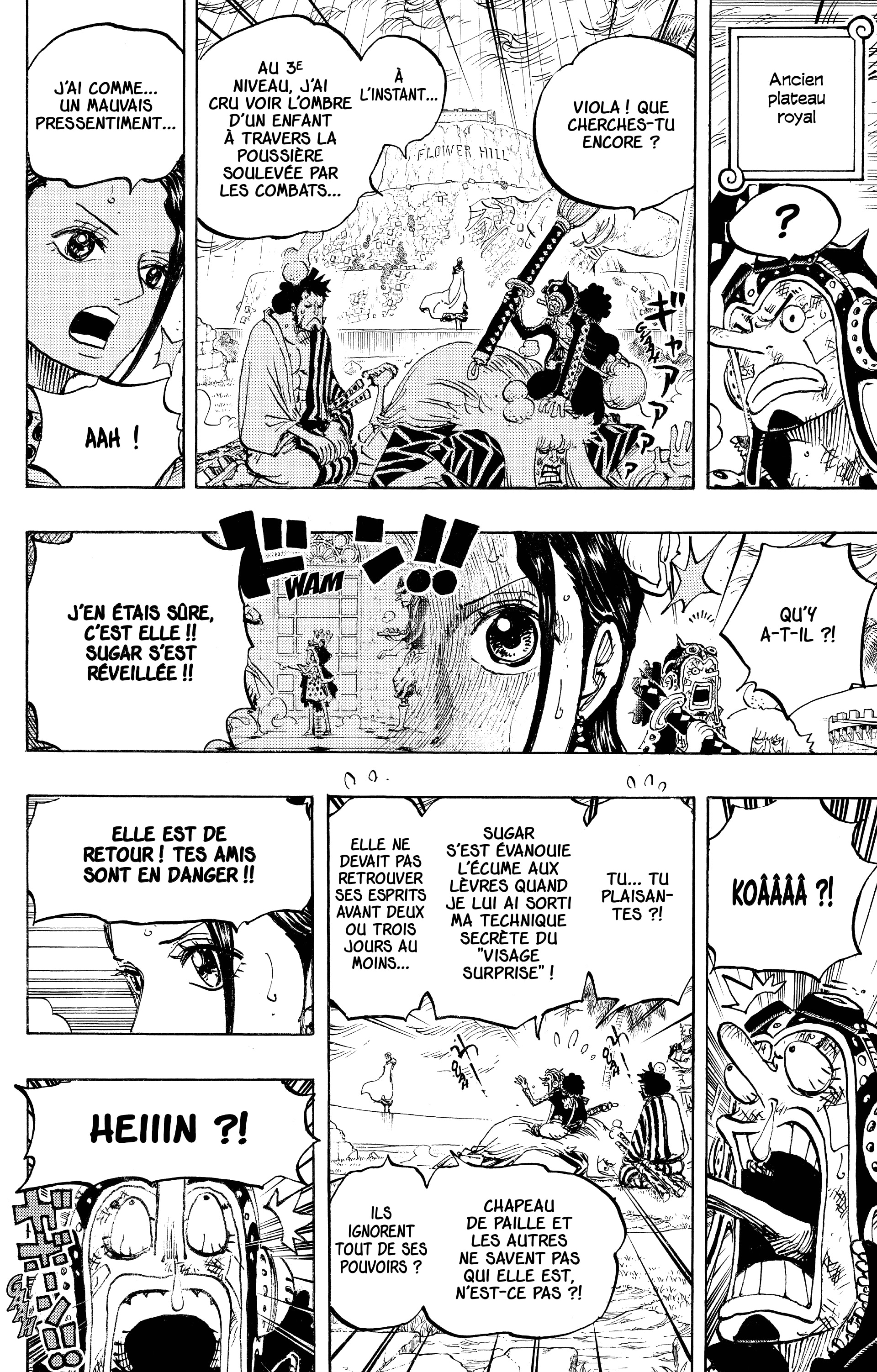 One Piece Chapitre 756 - Page 9
