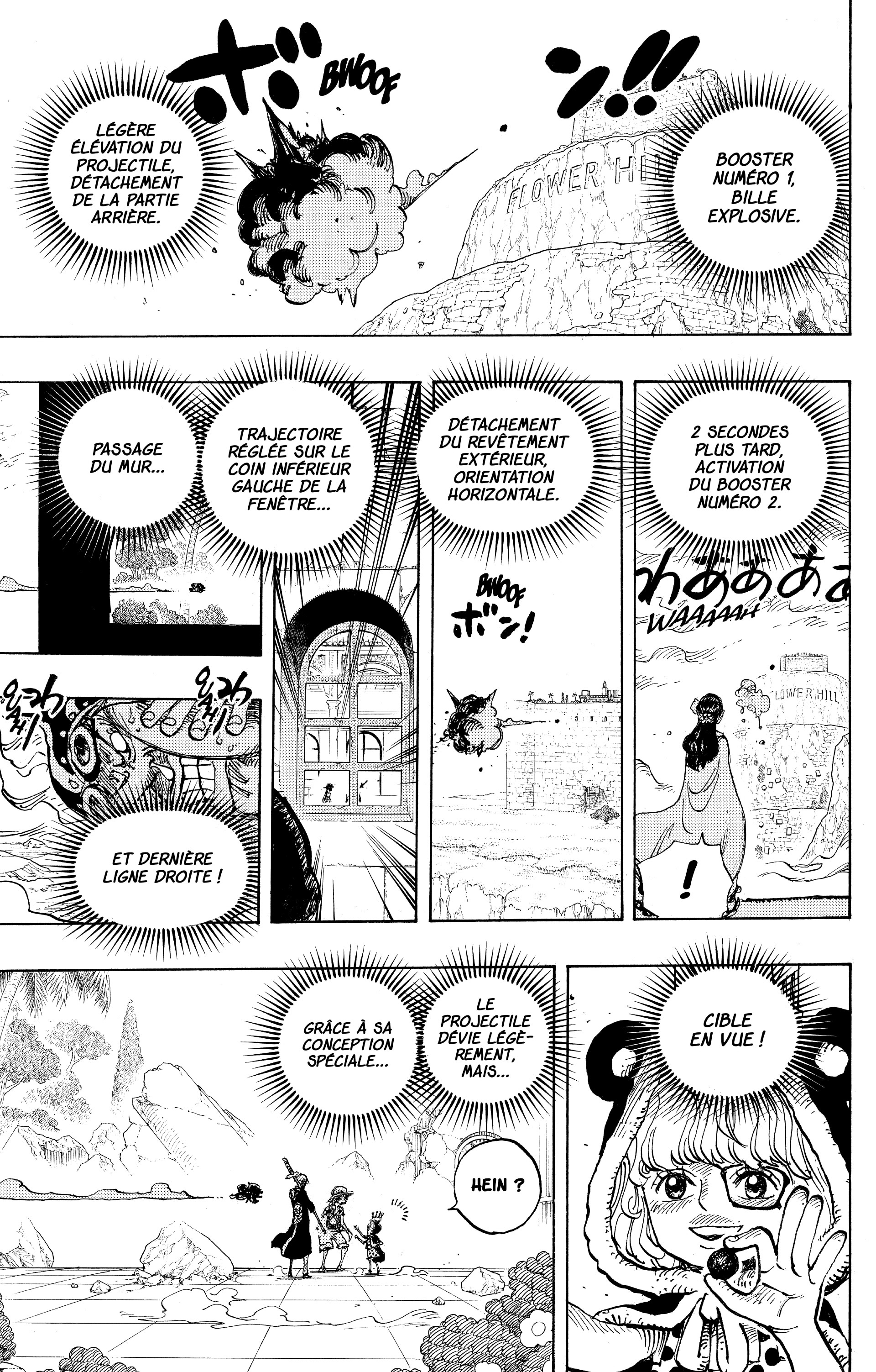 One Piece Chapitre 758 - Page 13