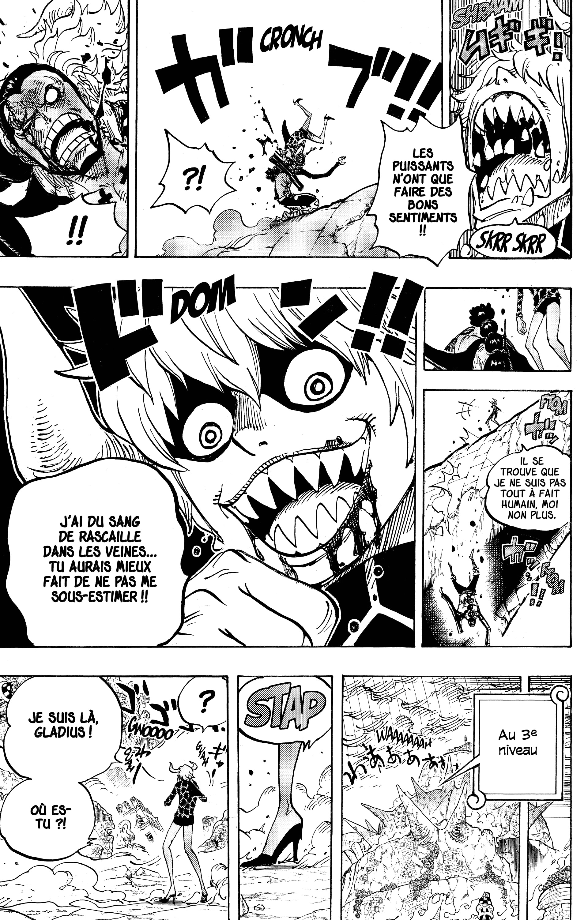 One Piece Chapitre 772 - Page 14