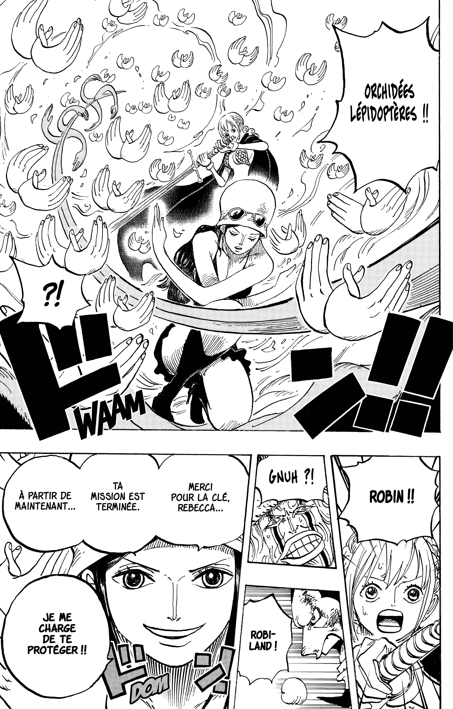 One Piece Chapitre 773 - Page 17