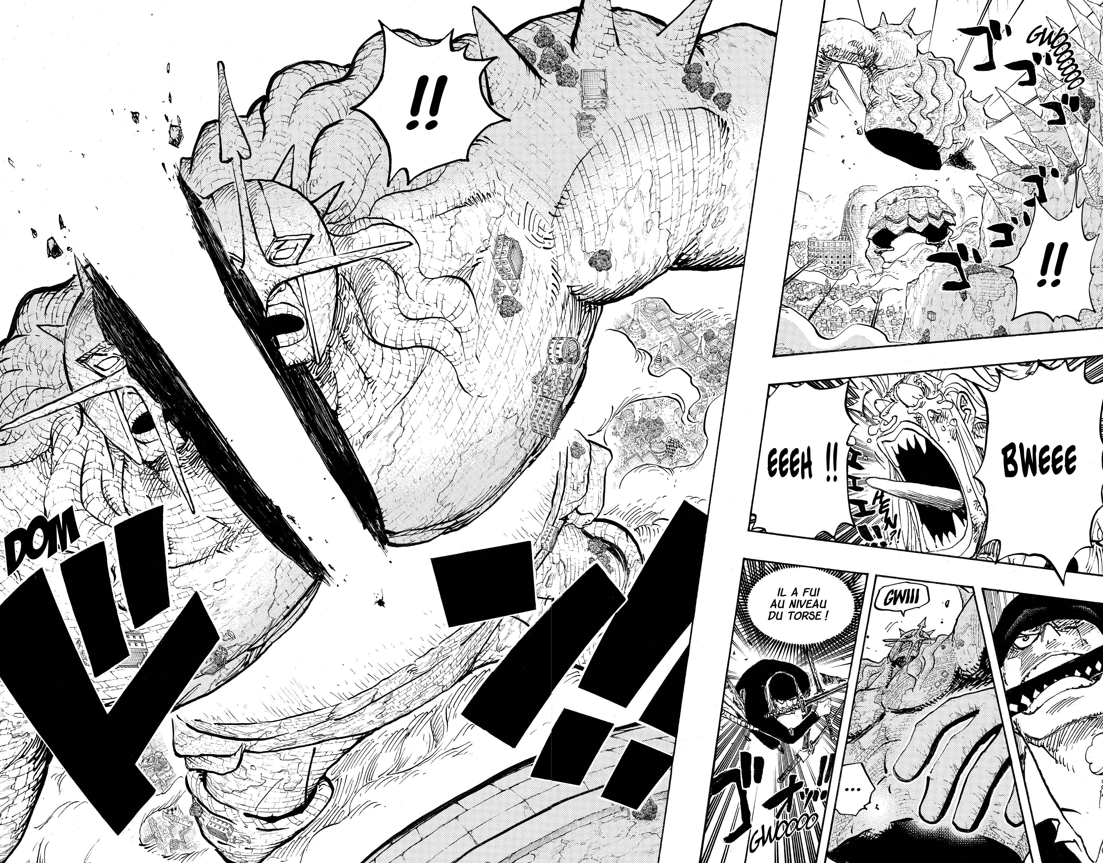 One Piece Chapitre 778 - Page 10