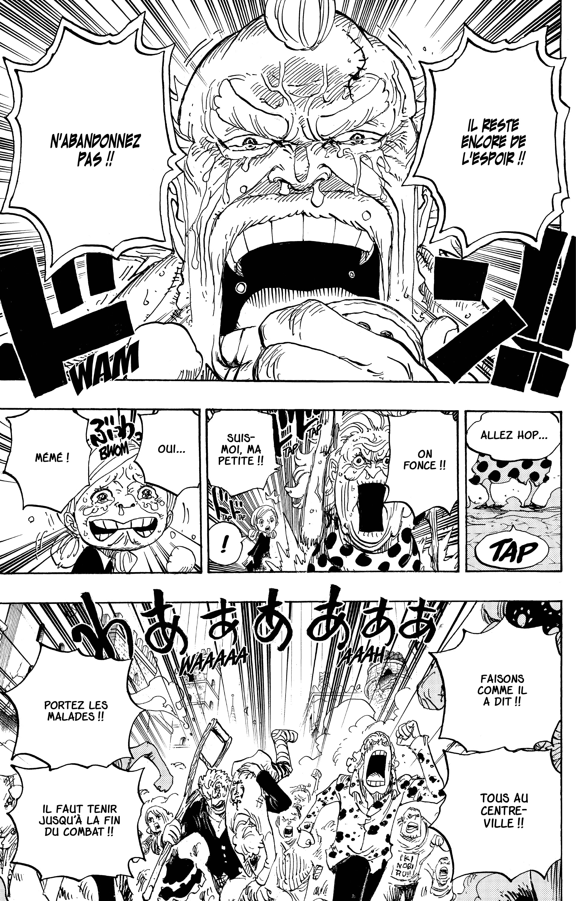 One Piece Chapitre 785 - Page 15