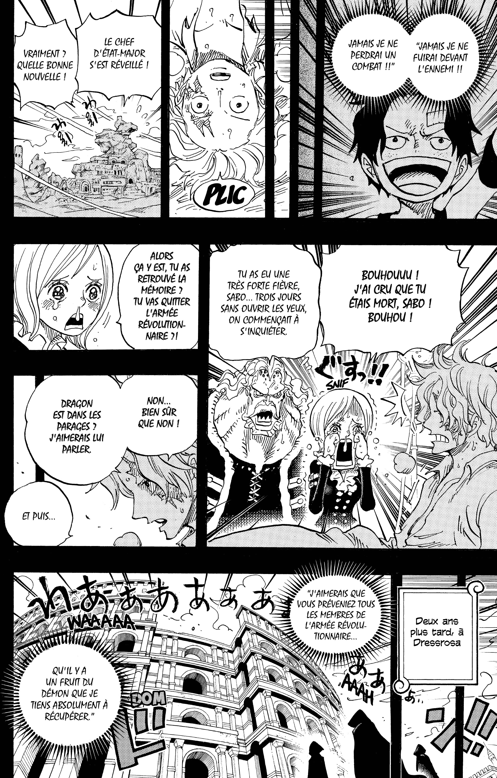 One Piece Chapitre 794 - Page 10
