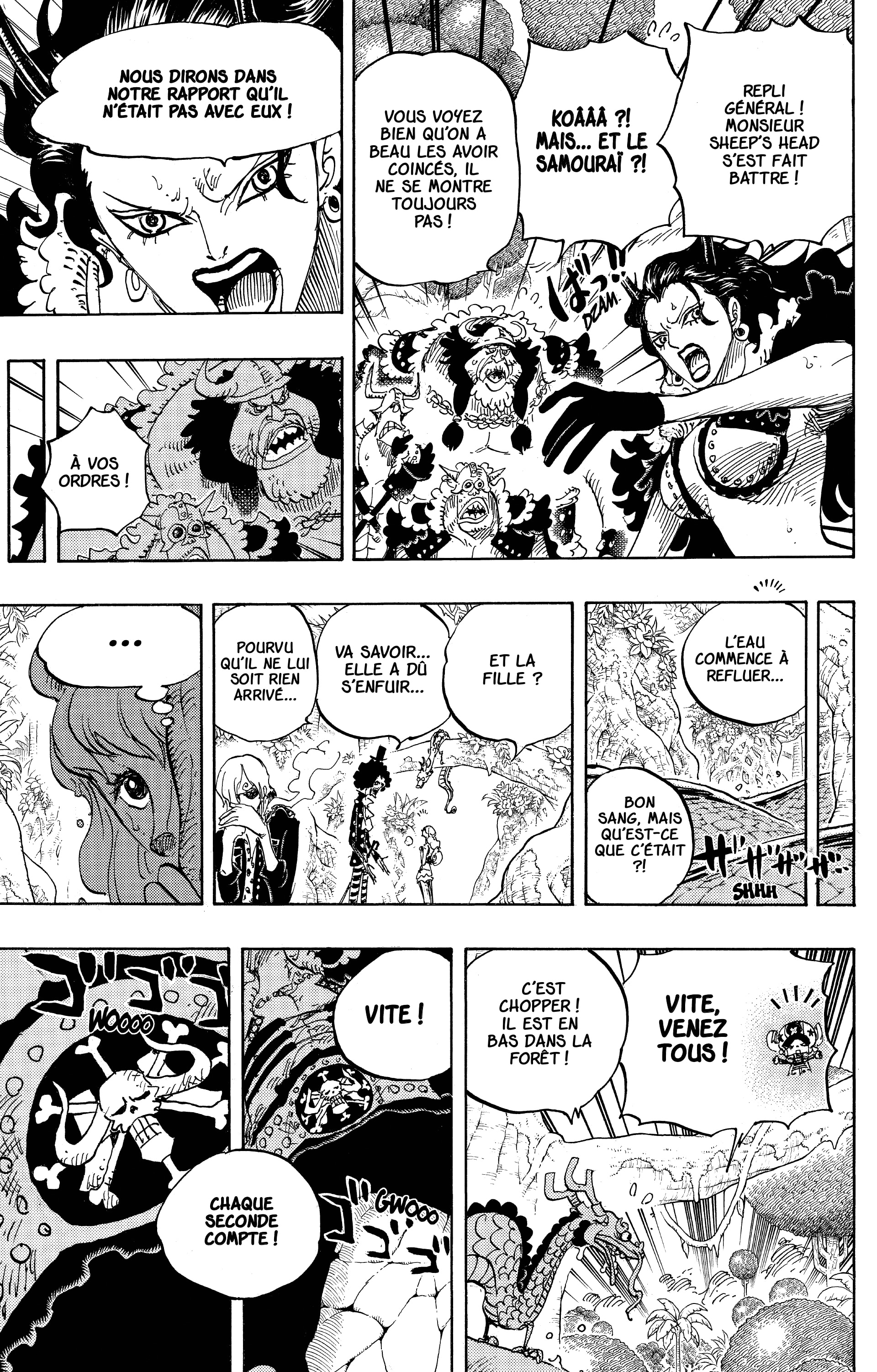 One Piece Chapitre 795 - Page 9