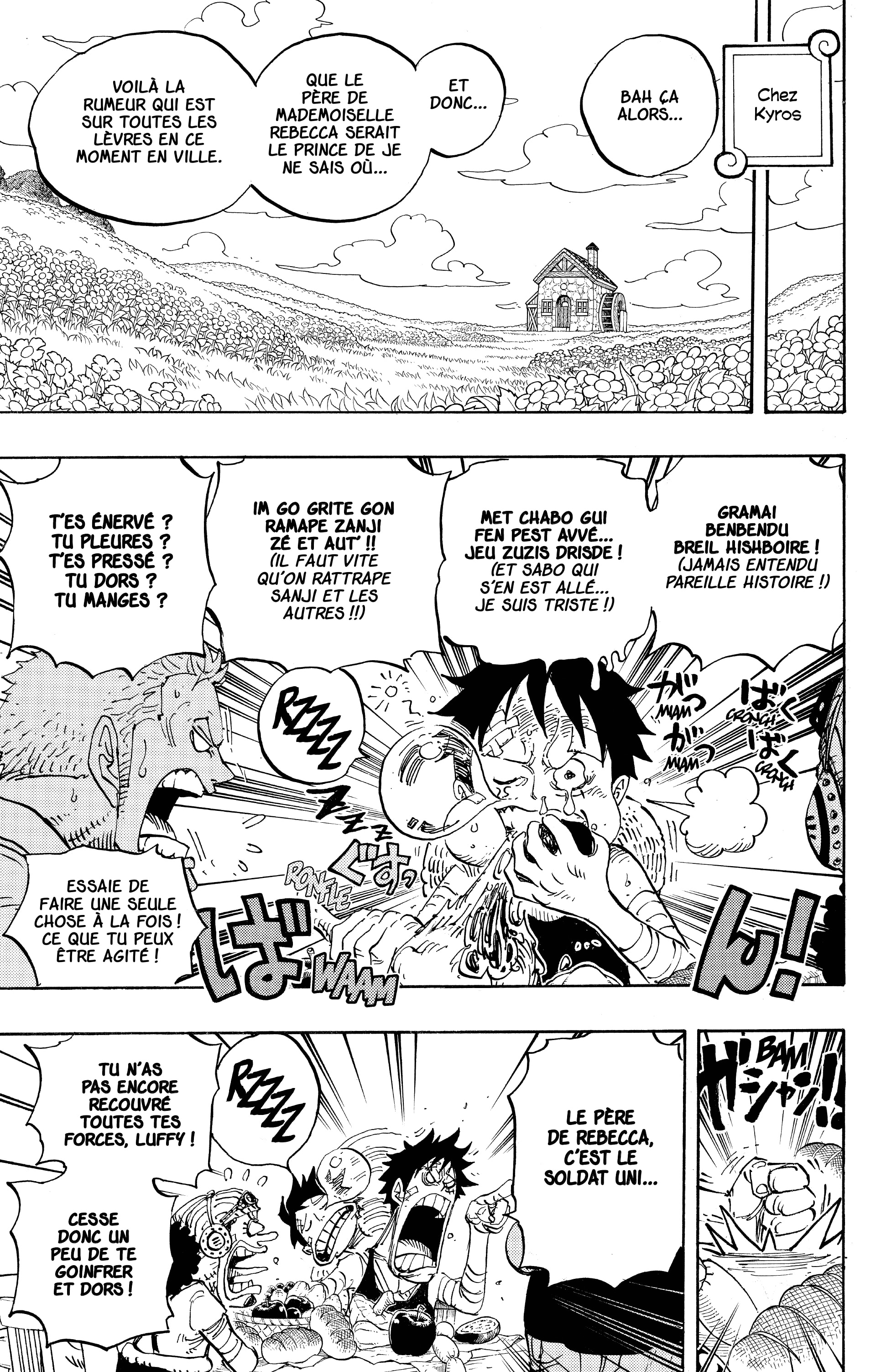 One Piece Chapitre 796 - Page 17