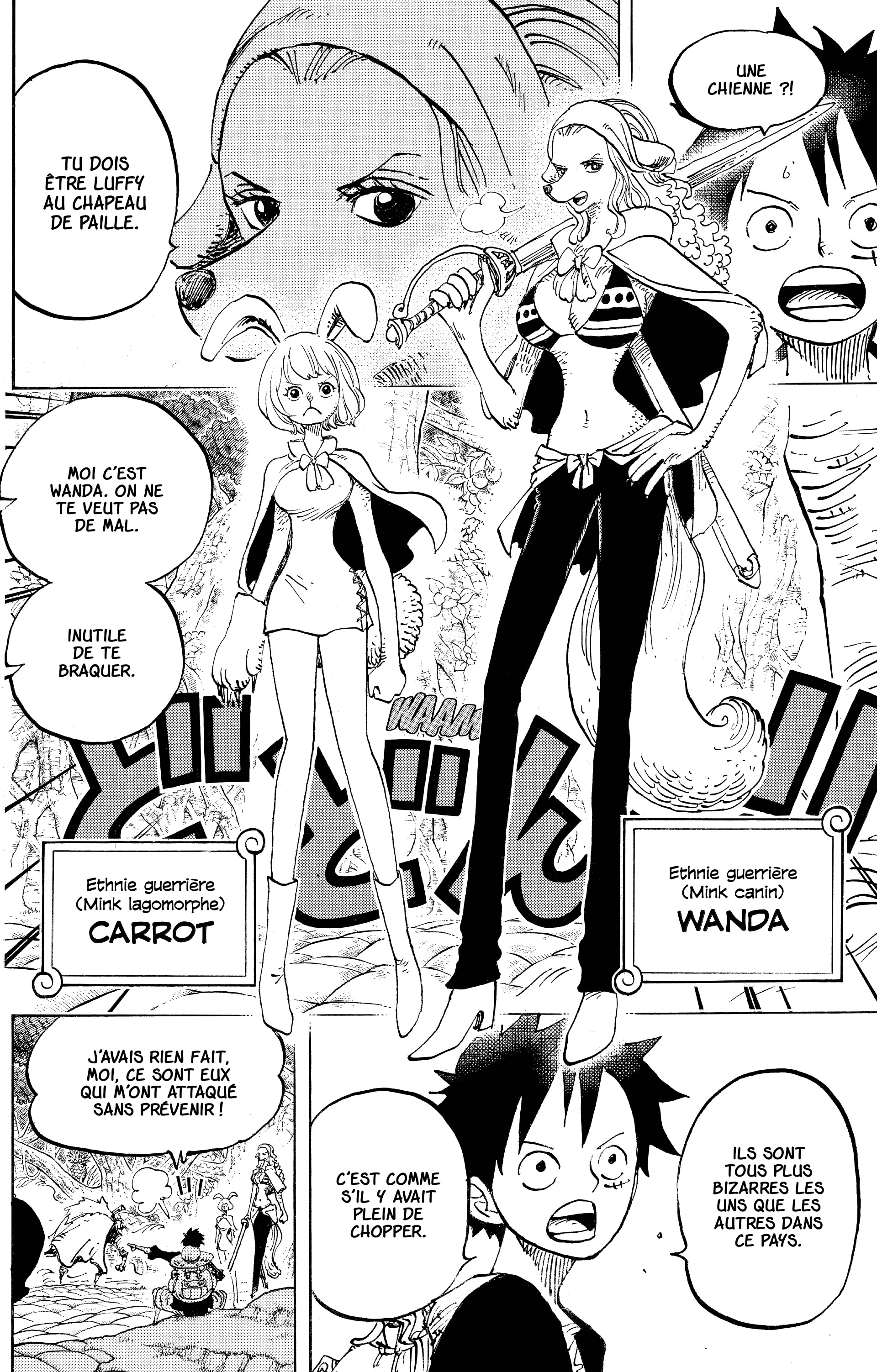 One Piece Chapitre 805 - Page 11