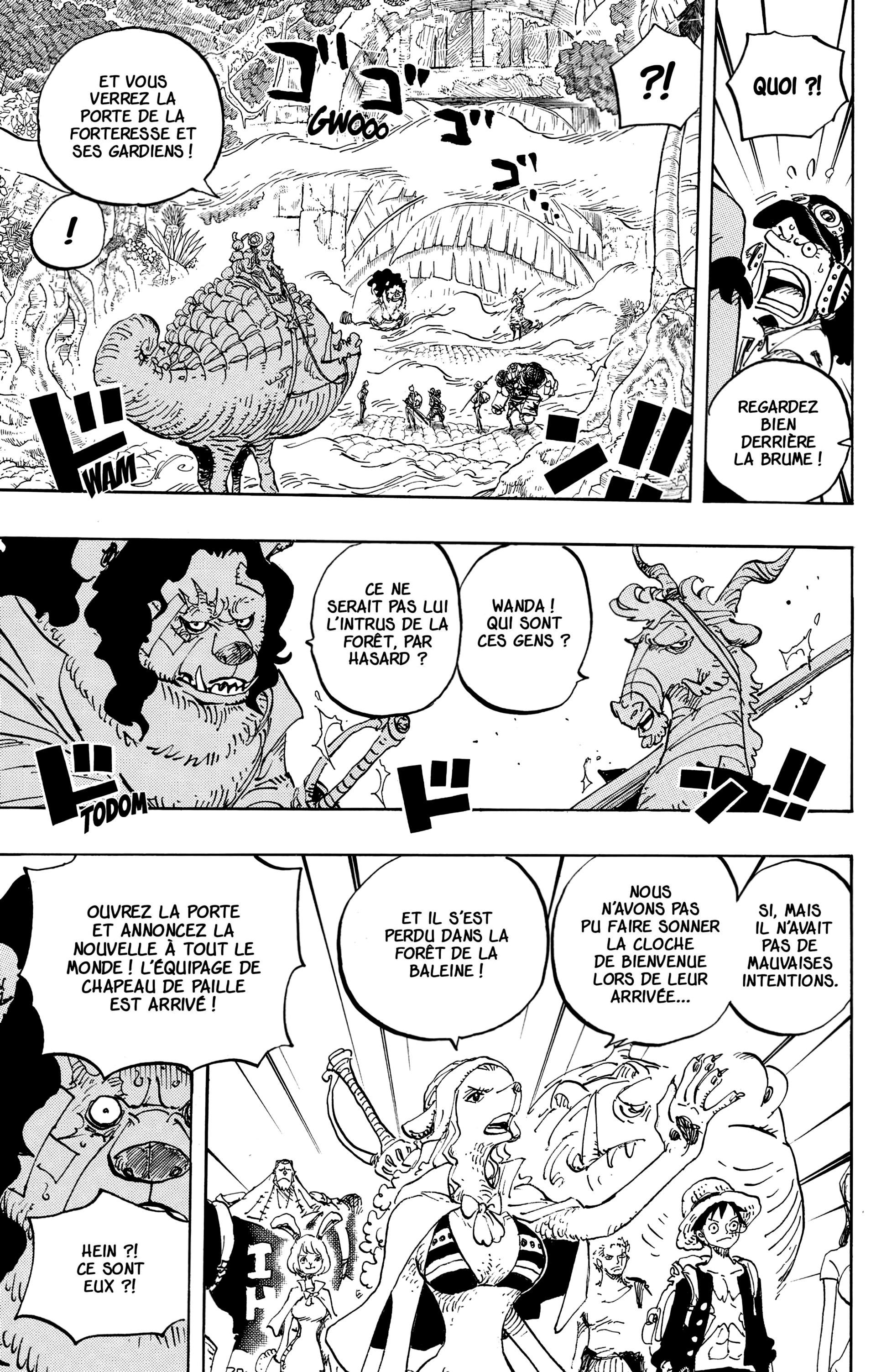 One Piece Chapitre 806 - Page 11