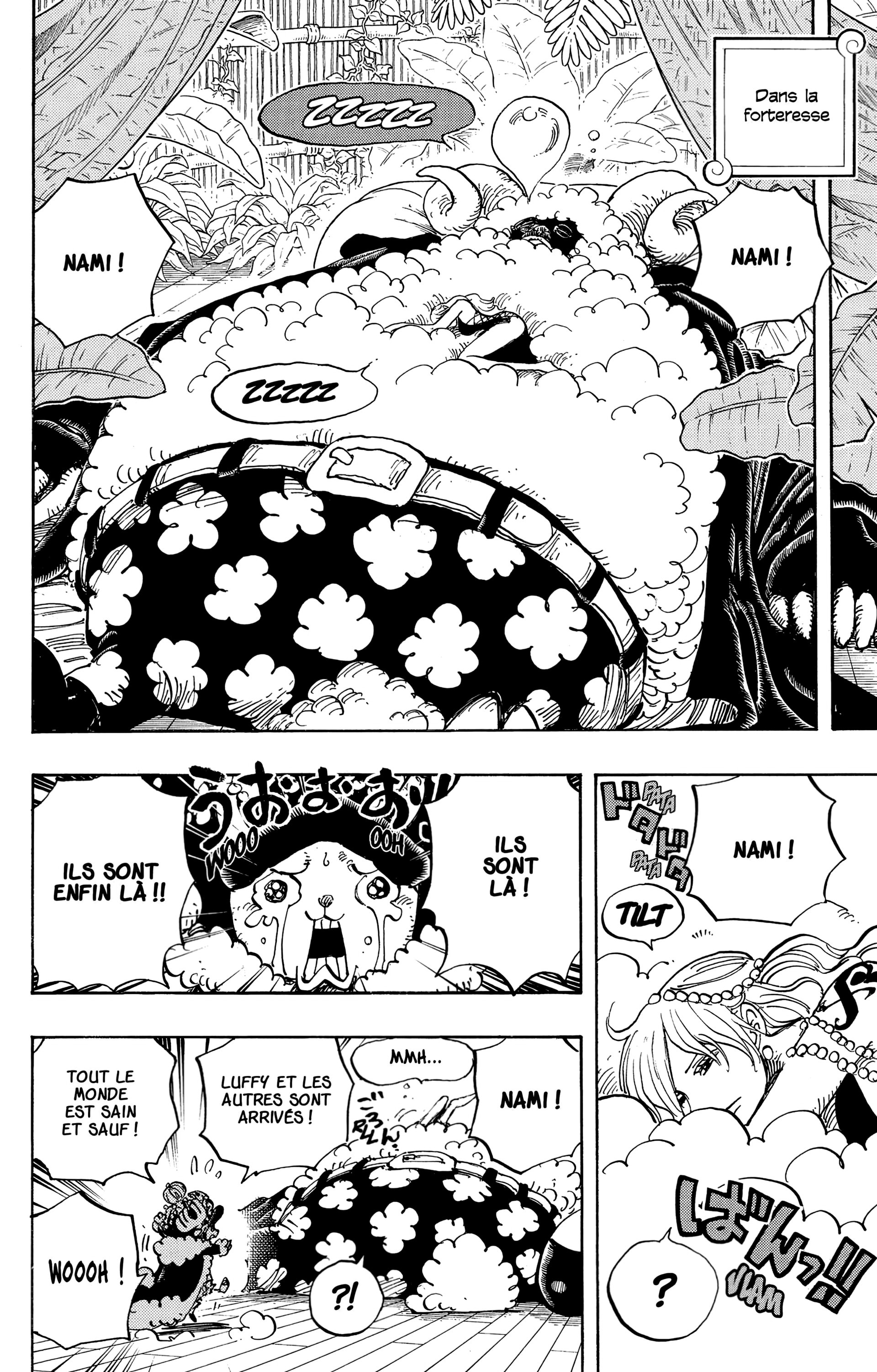 One Piece Chapitre 806 - Page 12