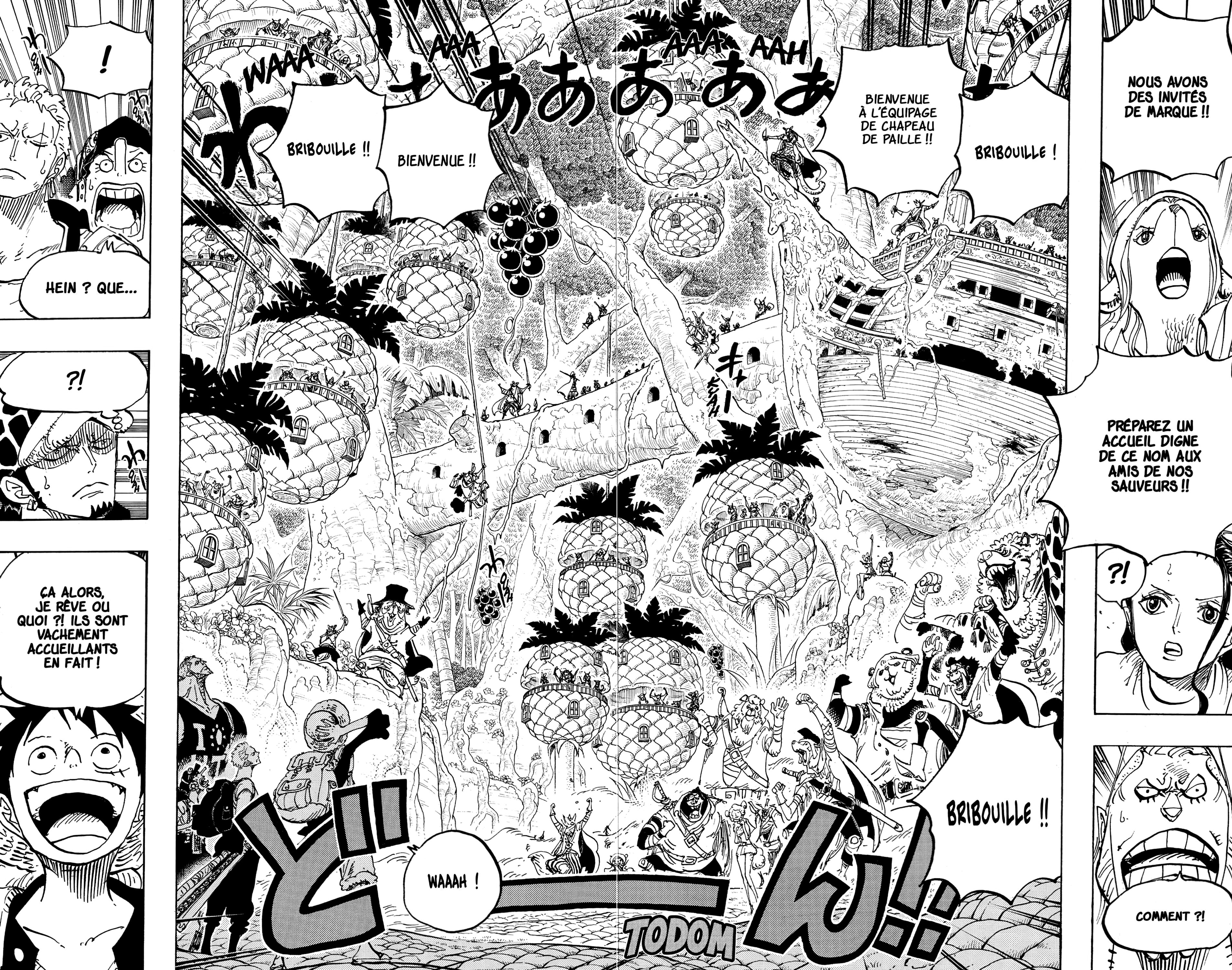 One Piece Chapitre 806 - Page 14