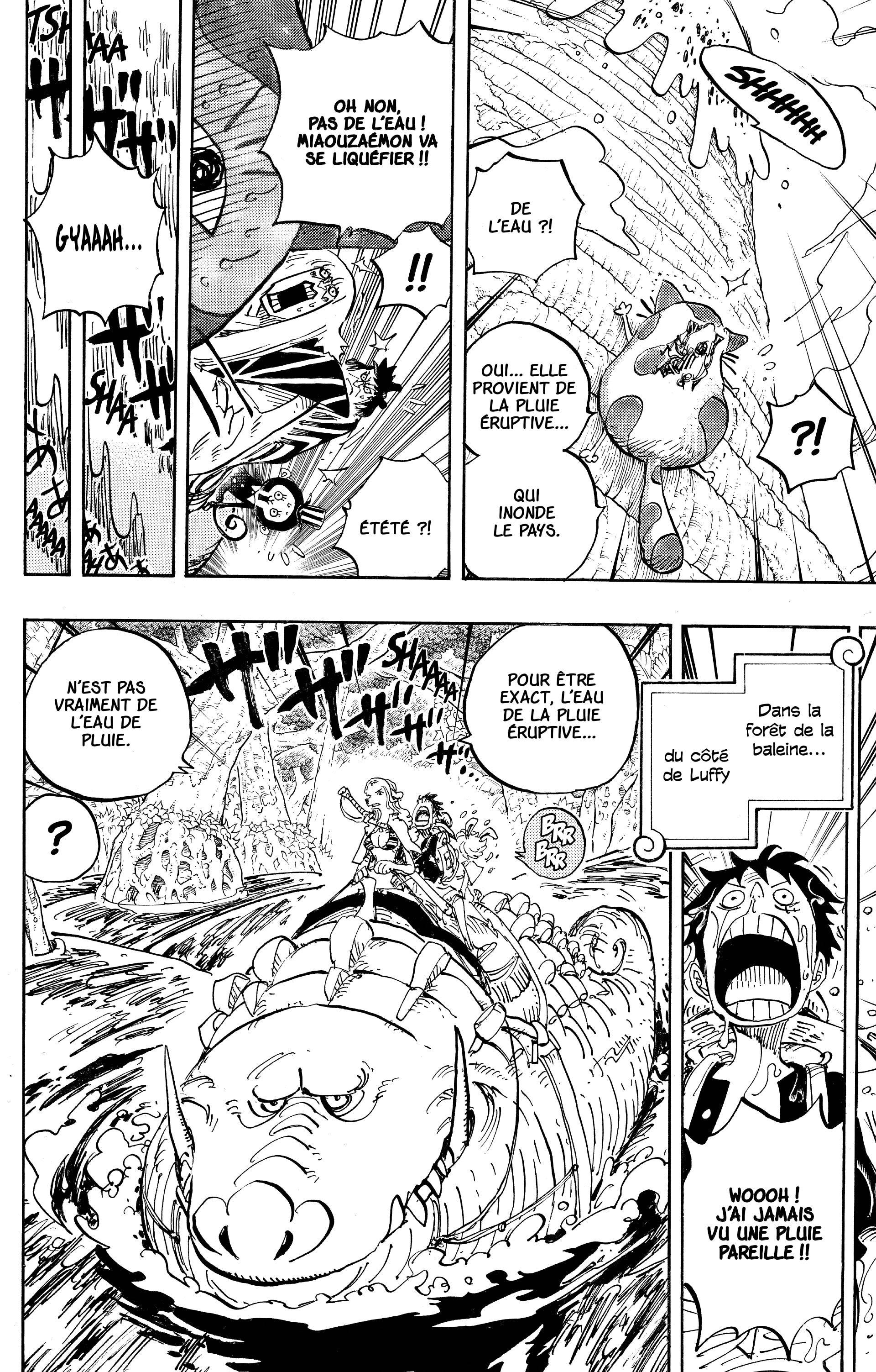 One Piece Chapitre 806 - Page 4