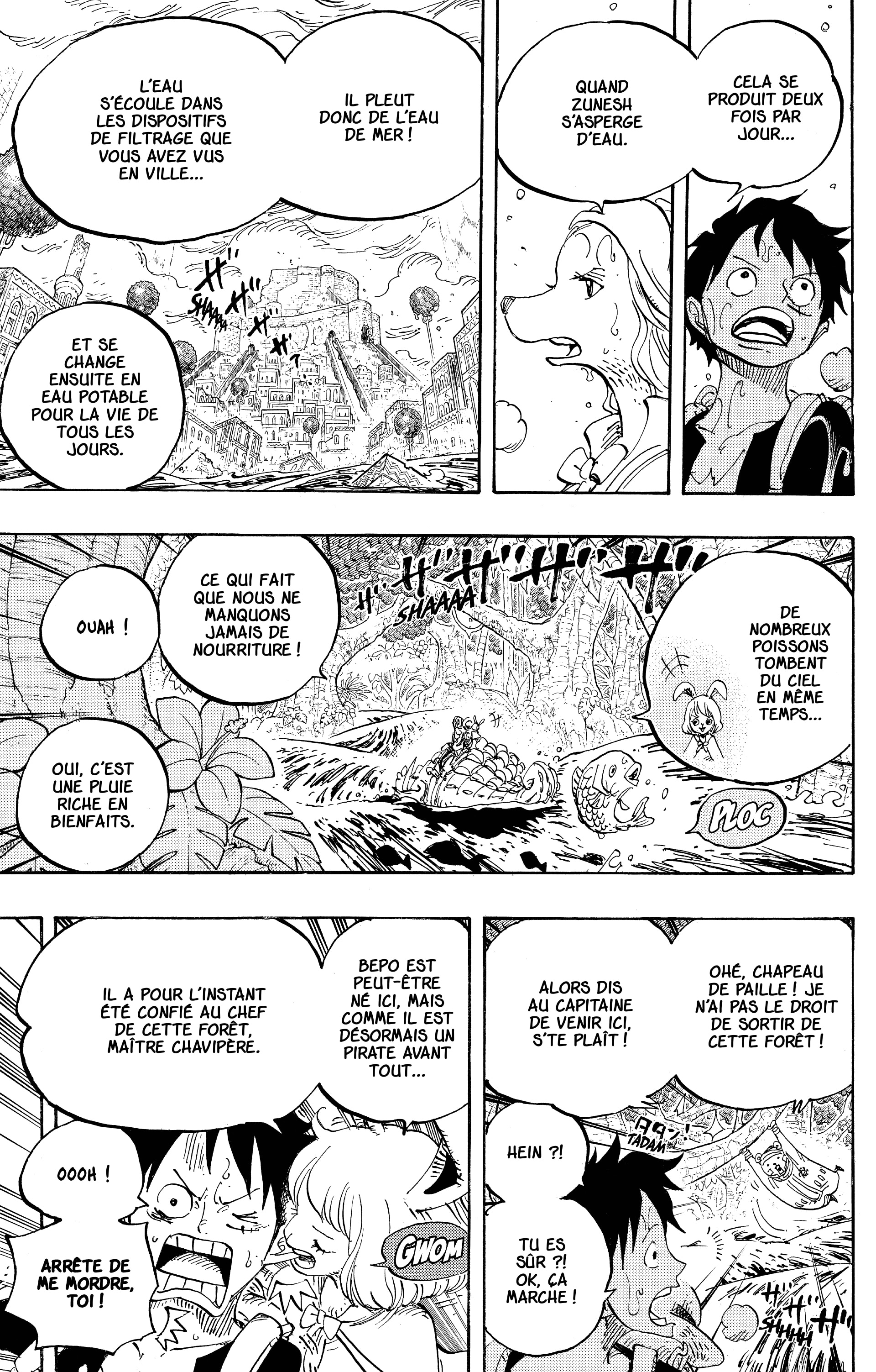 One Piece Chapitre 806 - Page 5