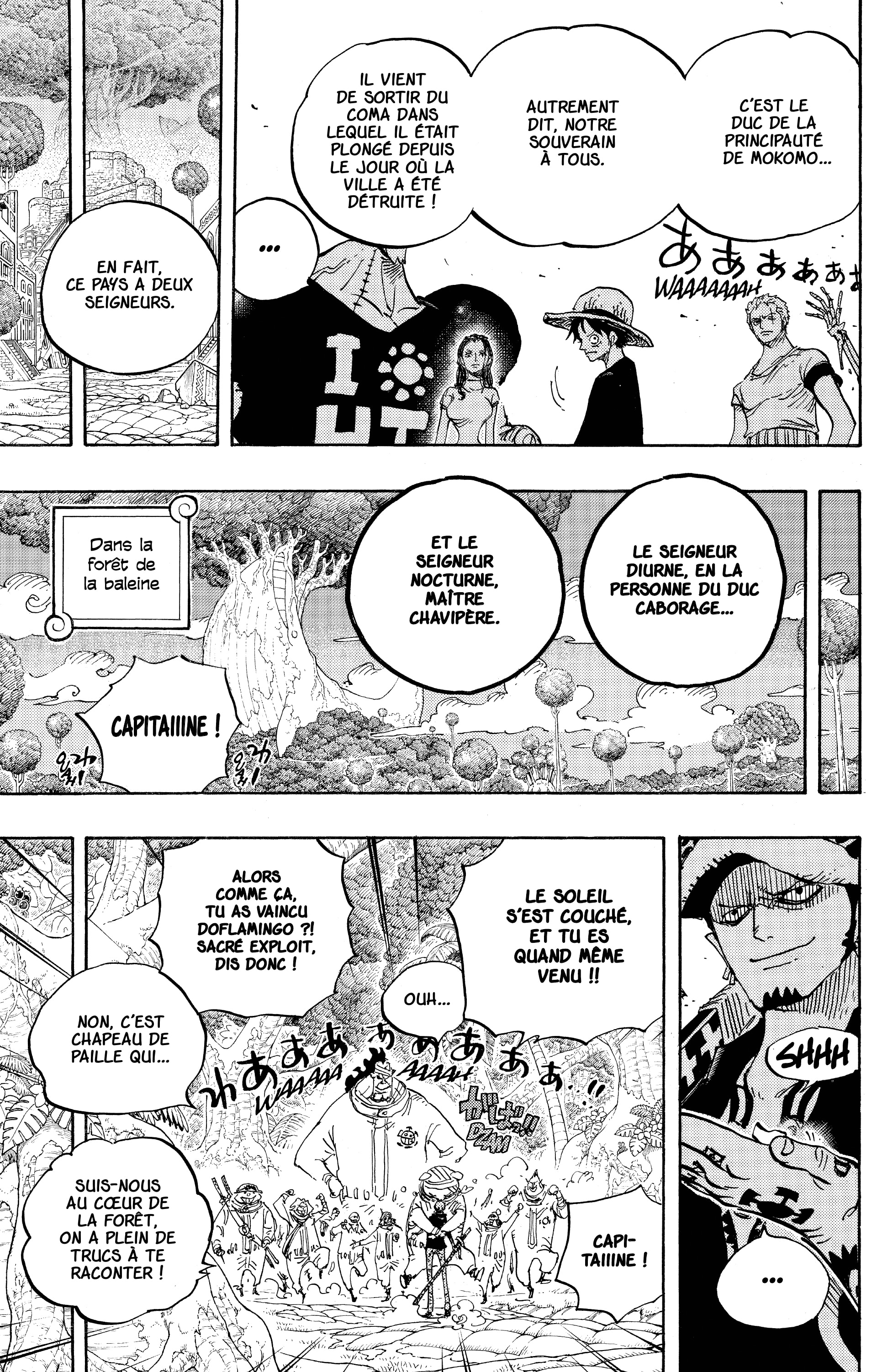 One Piece Chapitre 807 - Page 19