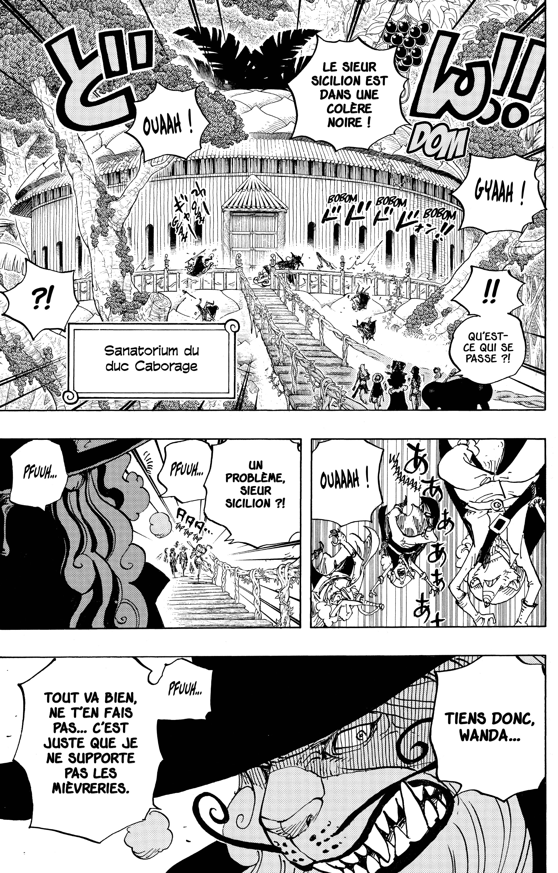 One Piece Chapitre 808 - Page 12
