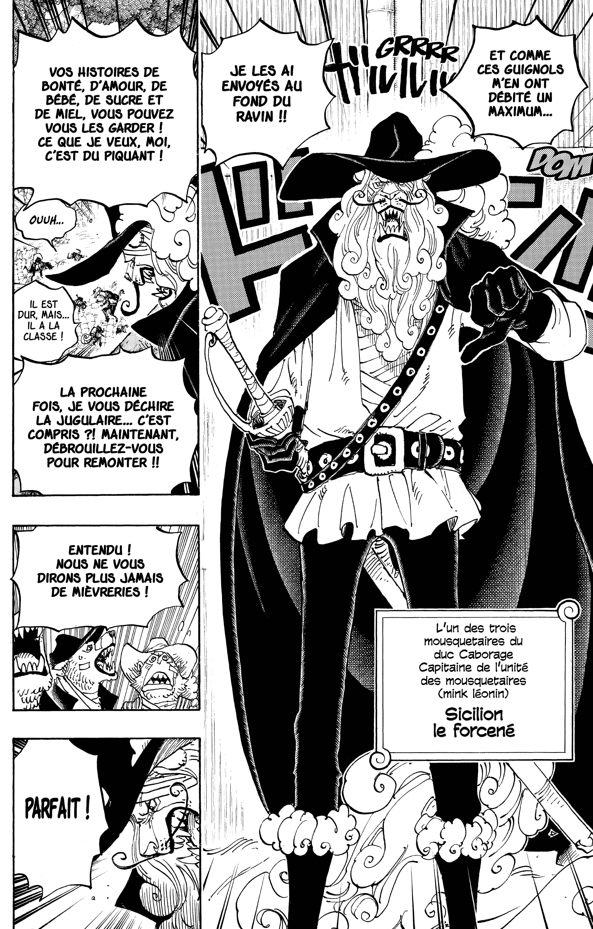 One Piece Chapitre 808 - Page 13