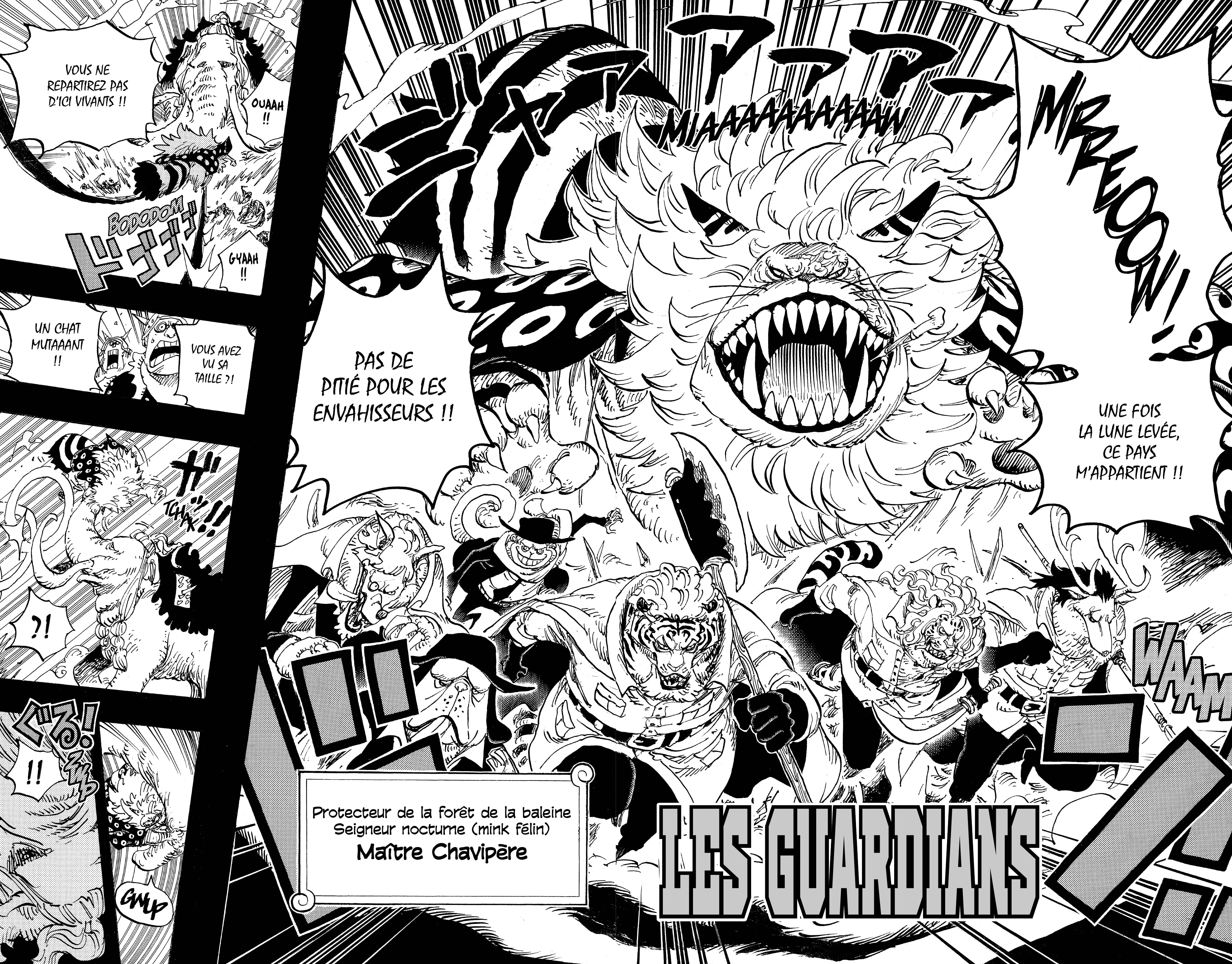 One Piece Chapitre 809 - Page 14