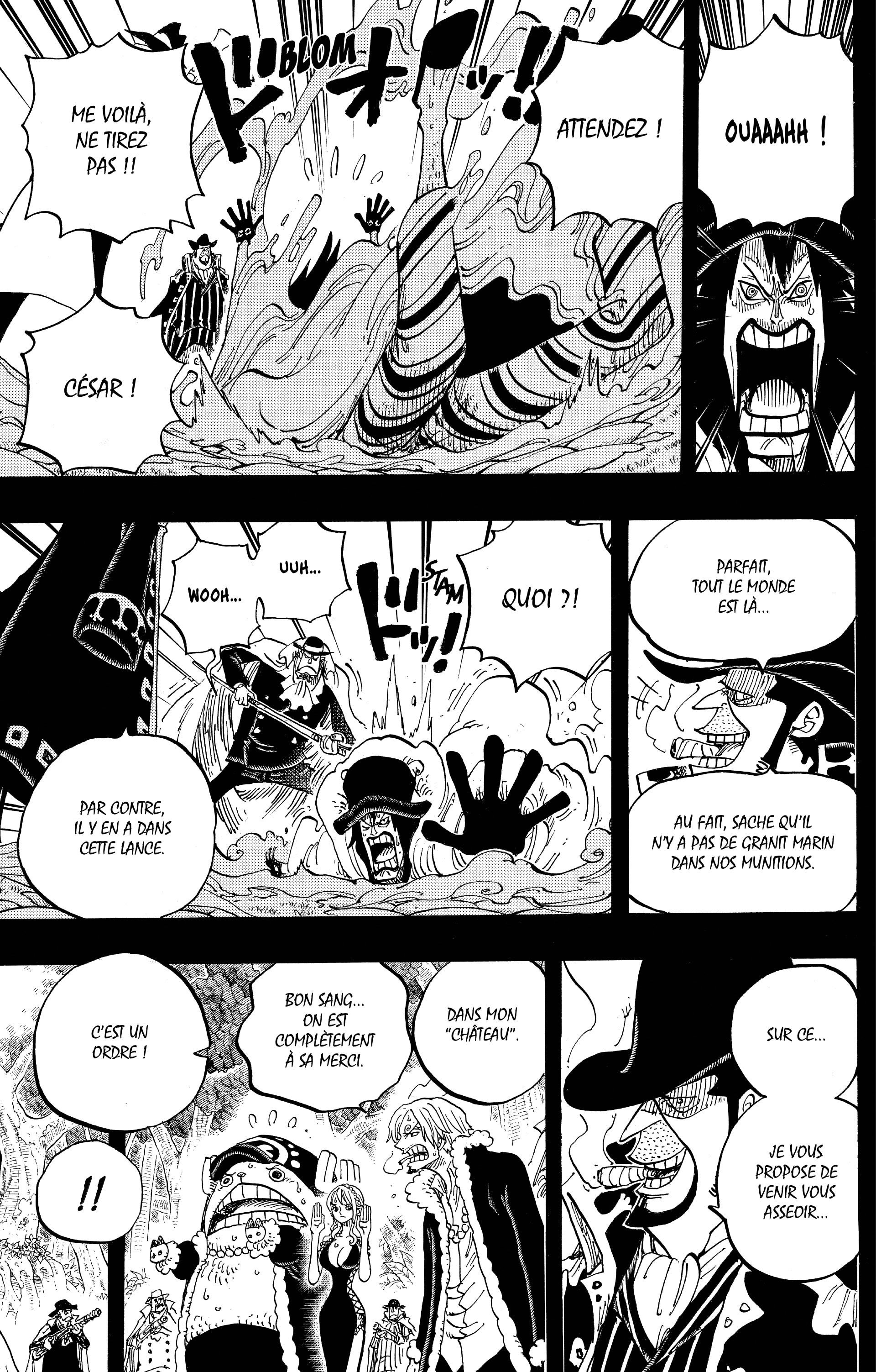 One Piece Chapitre 812 - Page 15