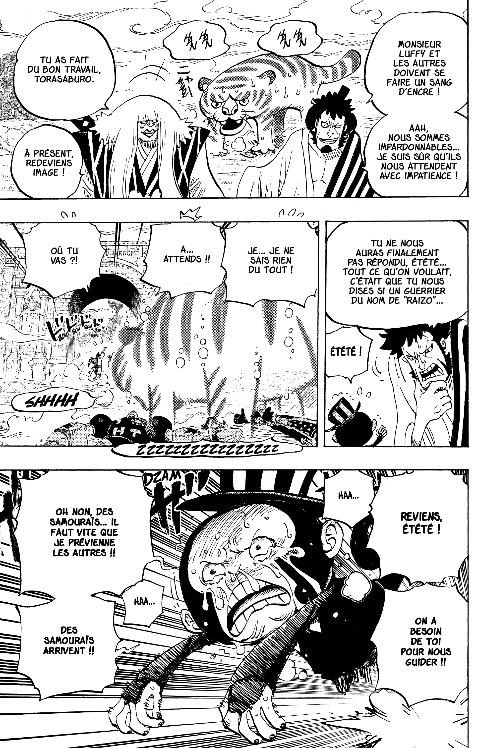 One Piece Chapitre 815 - Page 17