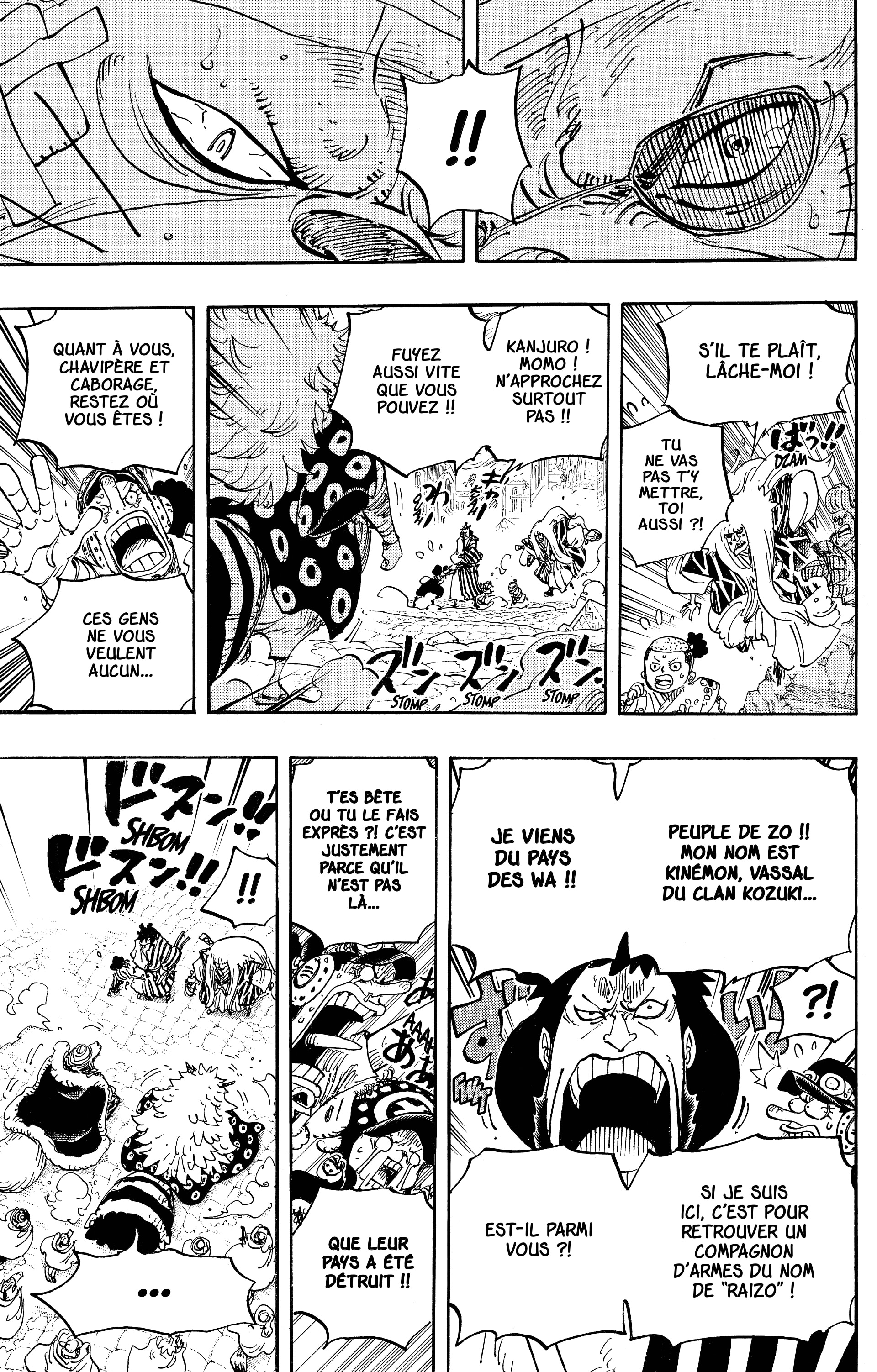 One Piece Chapitre 816 - Page 13