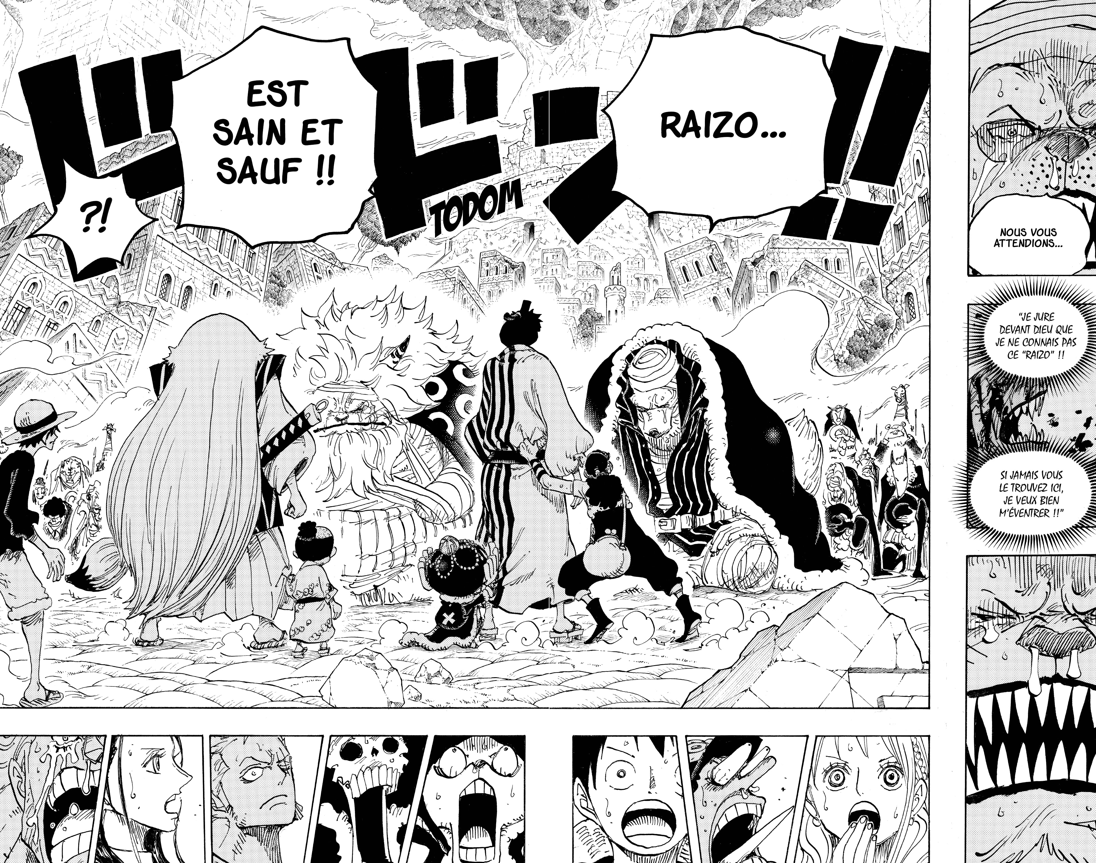One Piece Chapitre 816 - Page 14