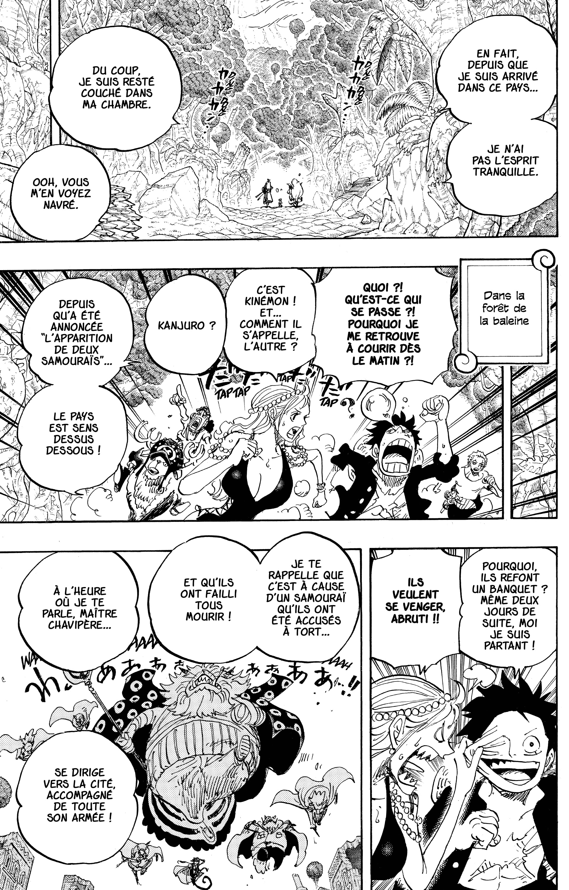 One Piece Chapitre 816 - Page 5