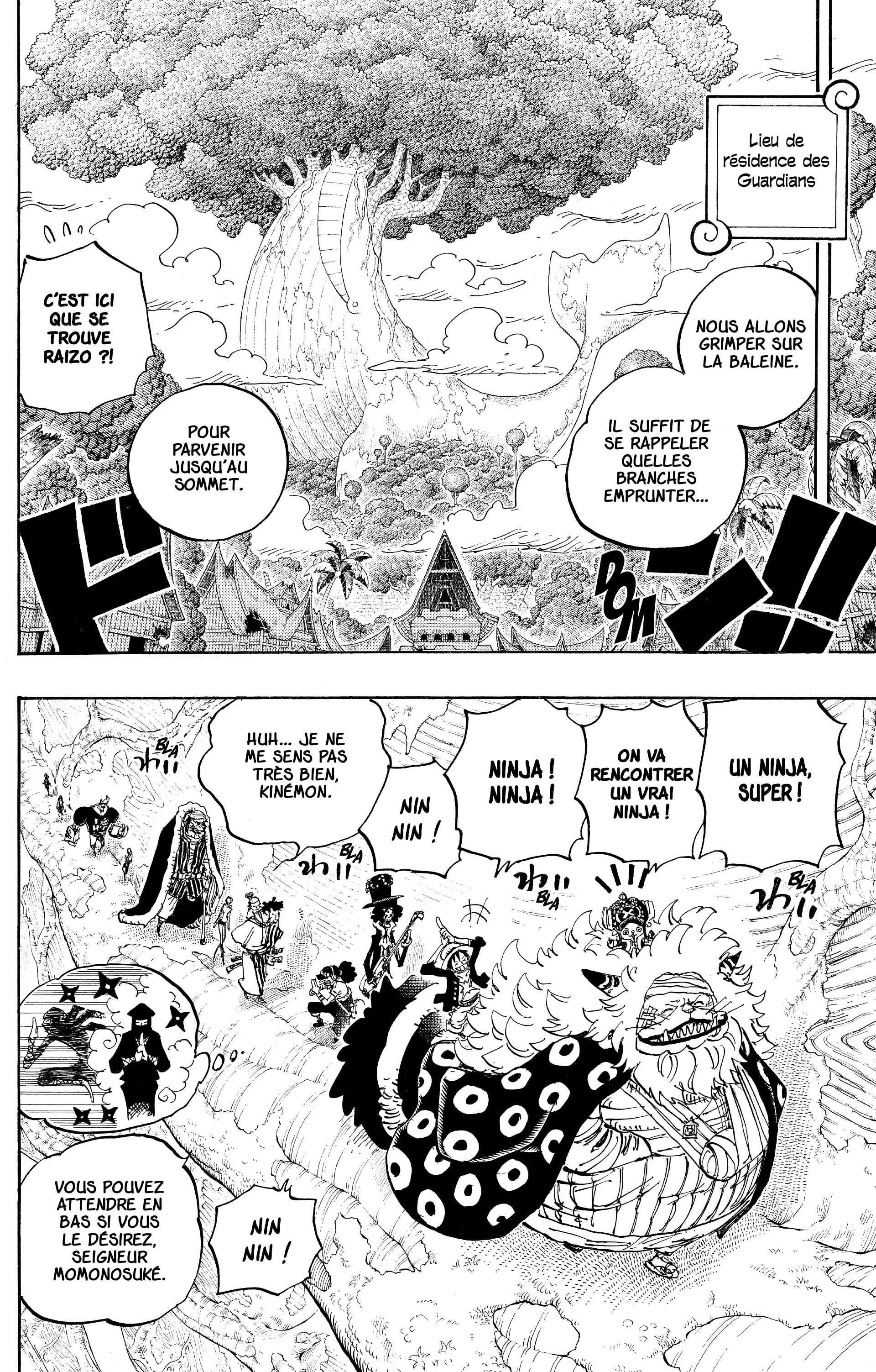 One Piece Chapitre 817 - Page 17