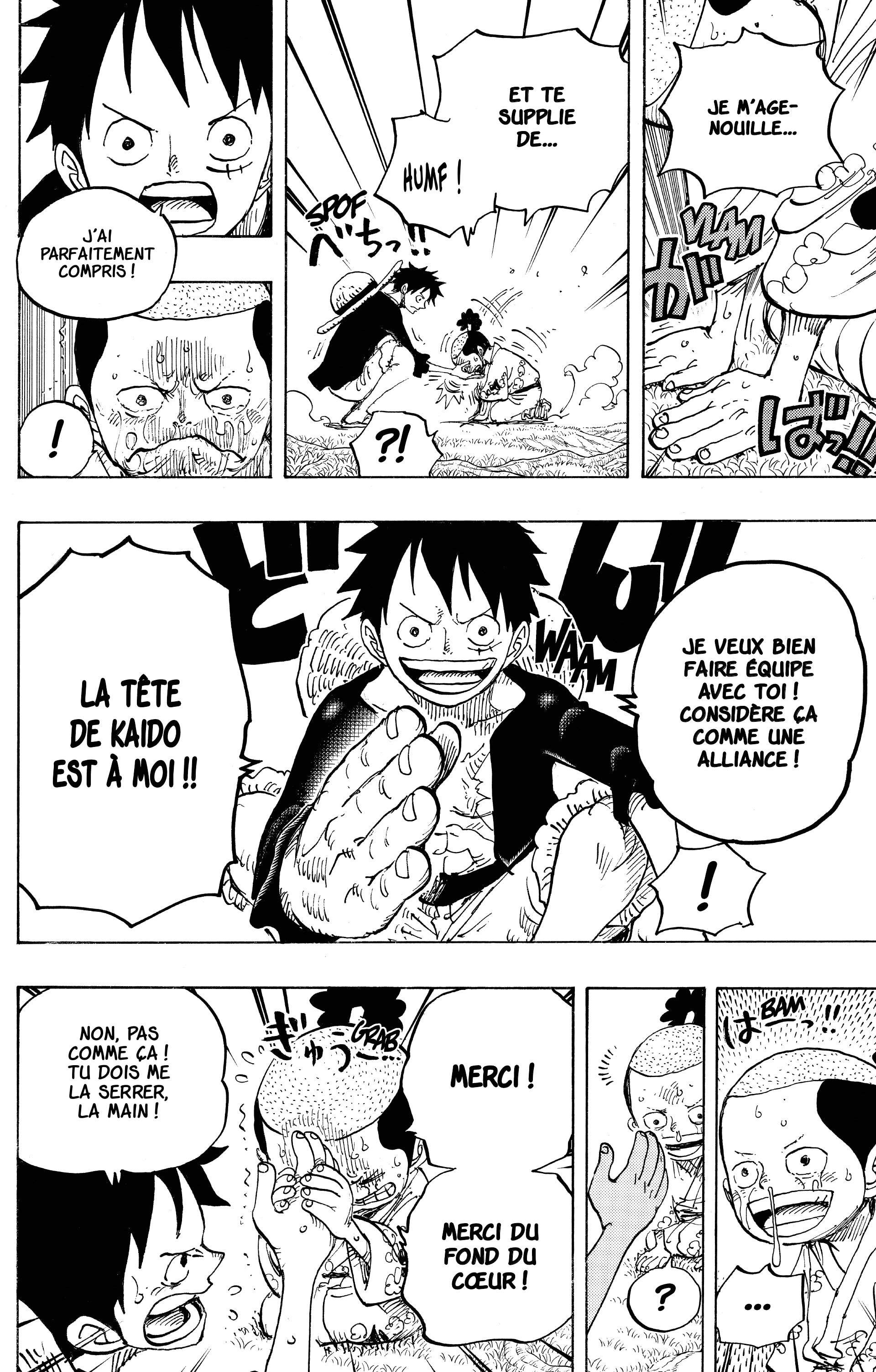One Piece Chapitre 819 - Page 12