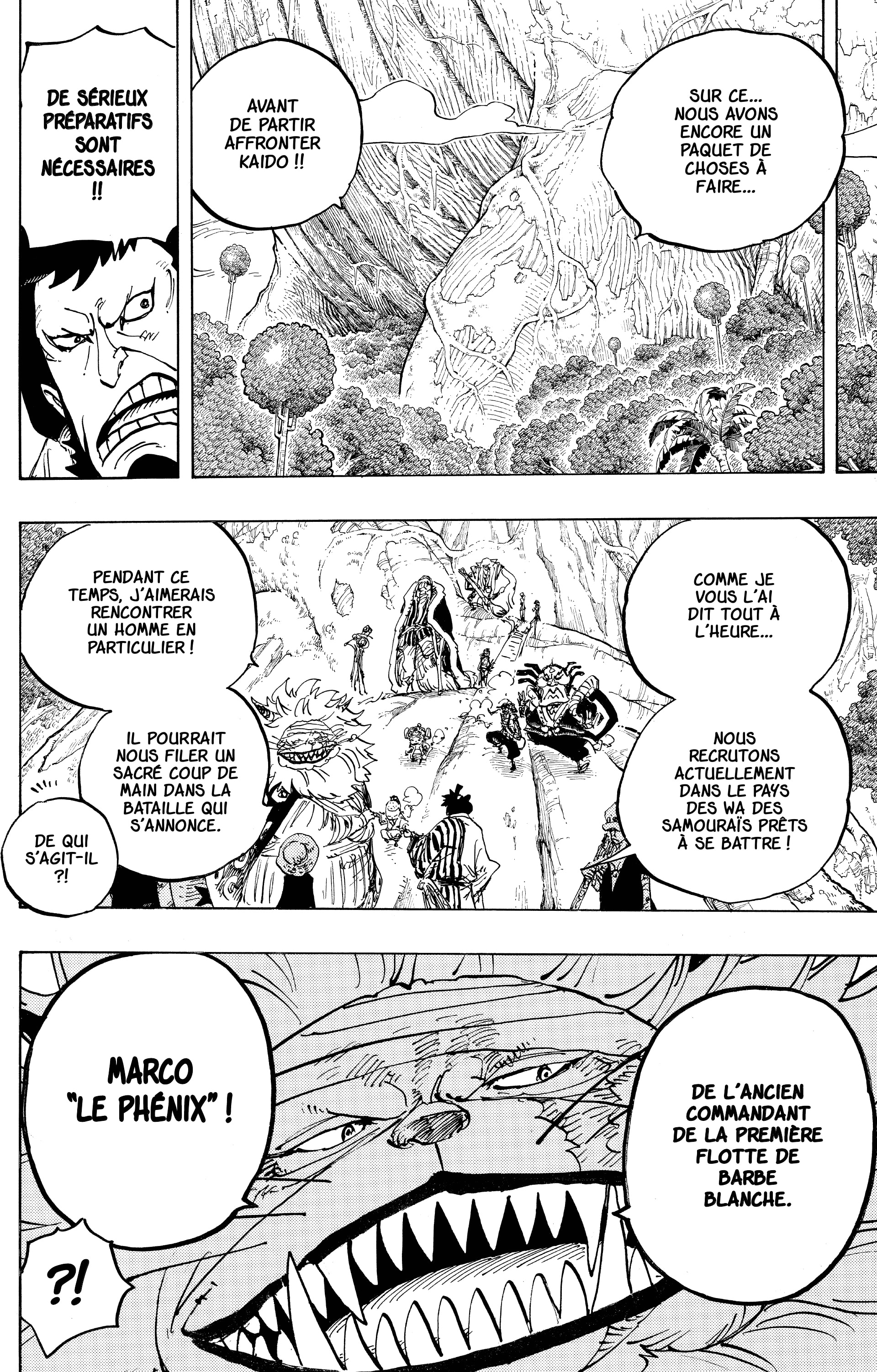 One Piece Chapitre 820 - Page 10