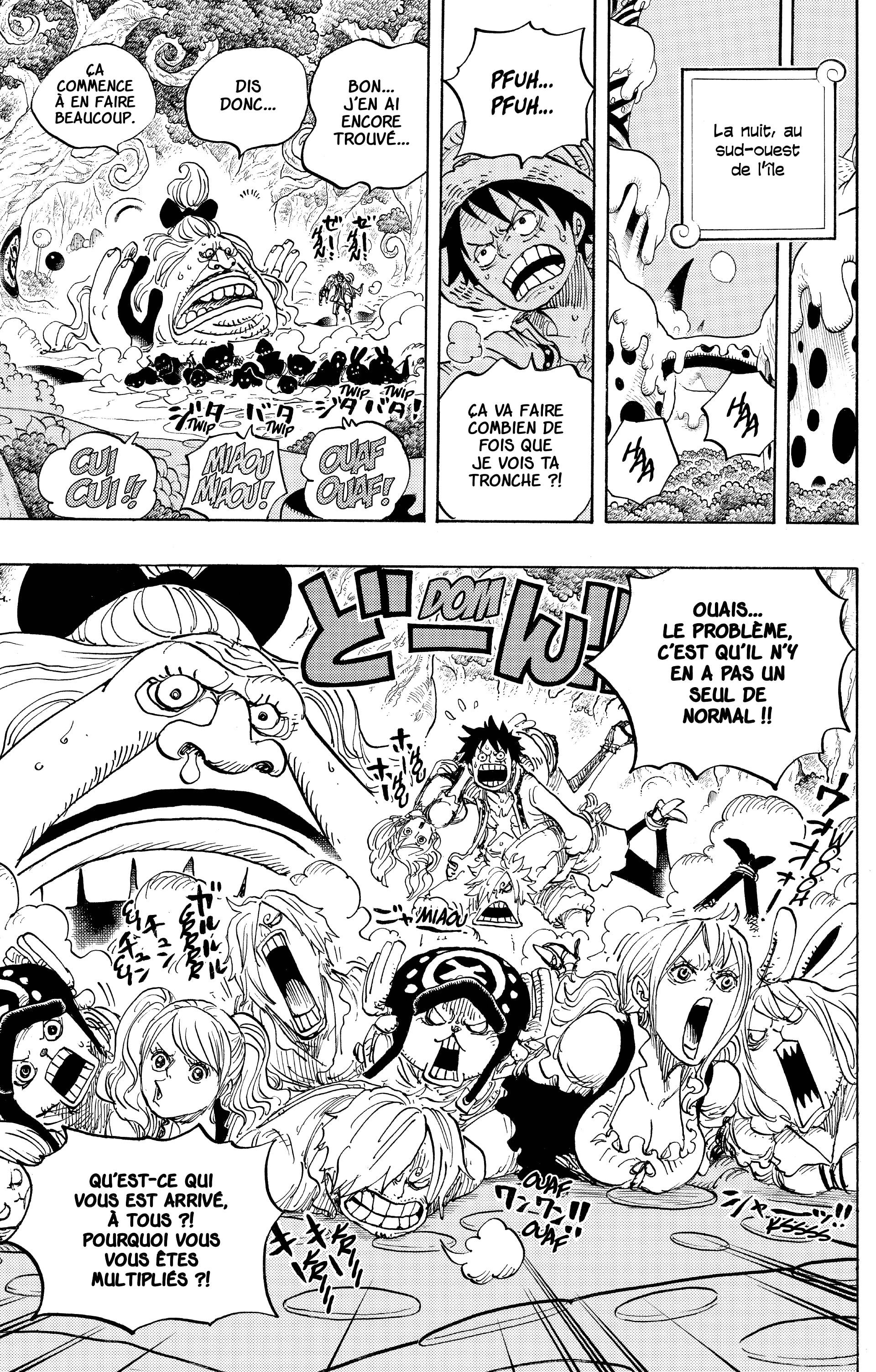 One Piece Chapitre 834 - Page 17