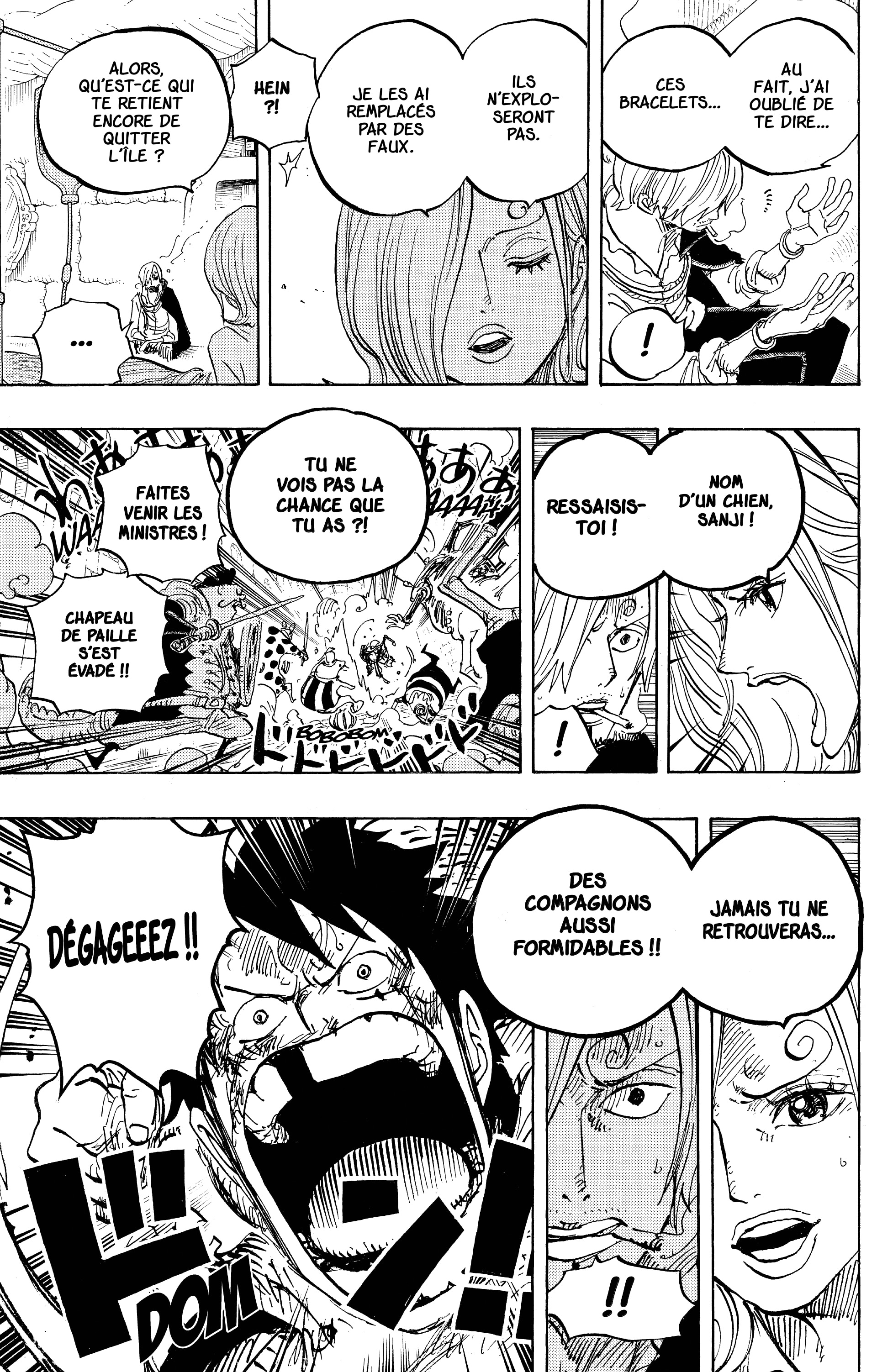One Piece Chapitre 852 - Page 17