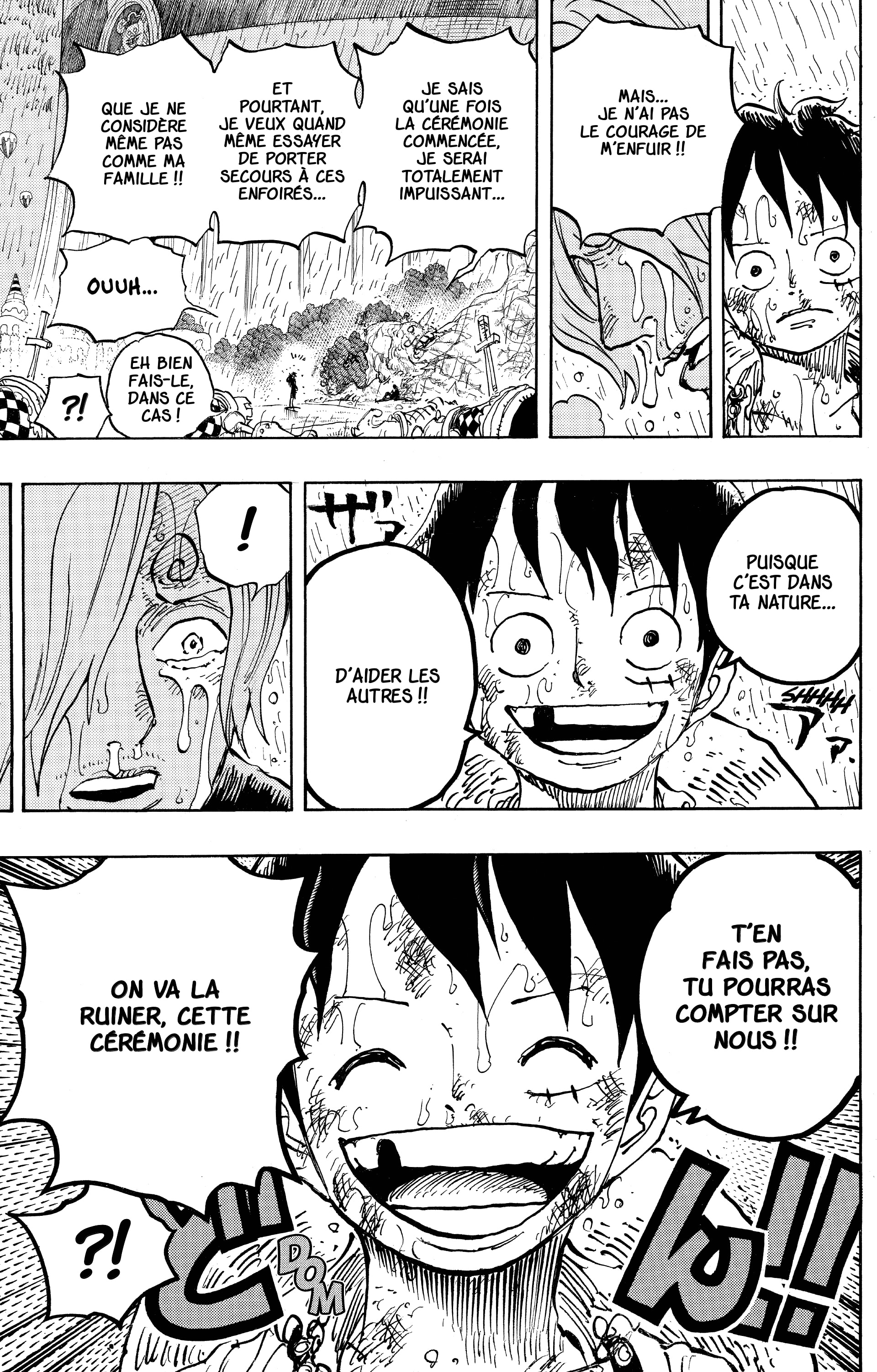 One Piece Chapitre 856 - Page 17