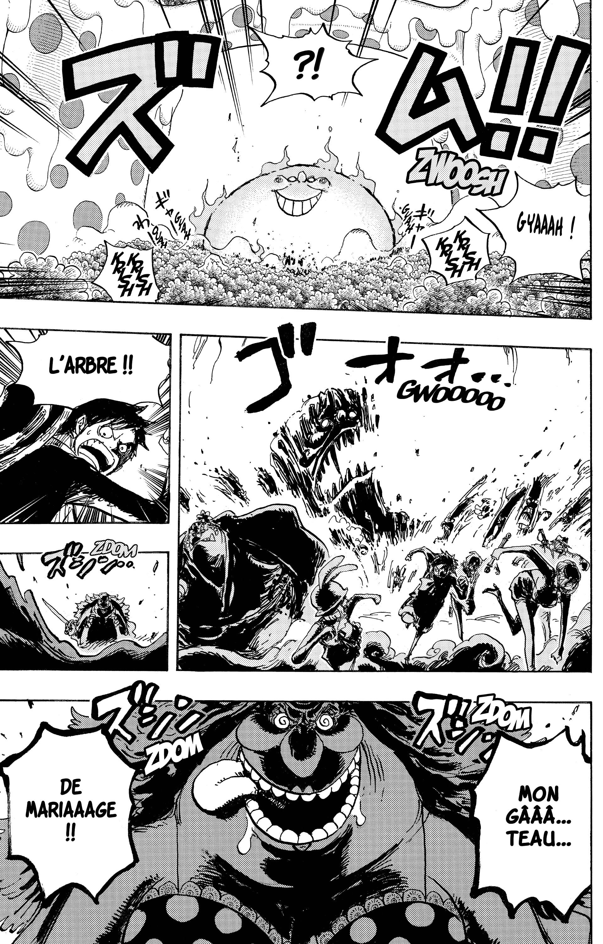 One Piece Chapitre 874 - Page 13
